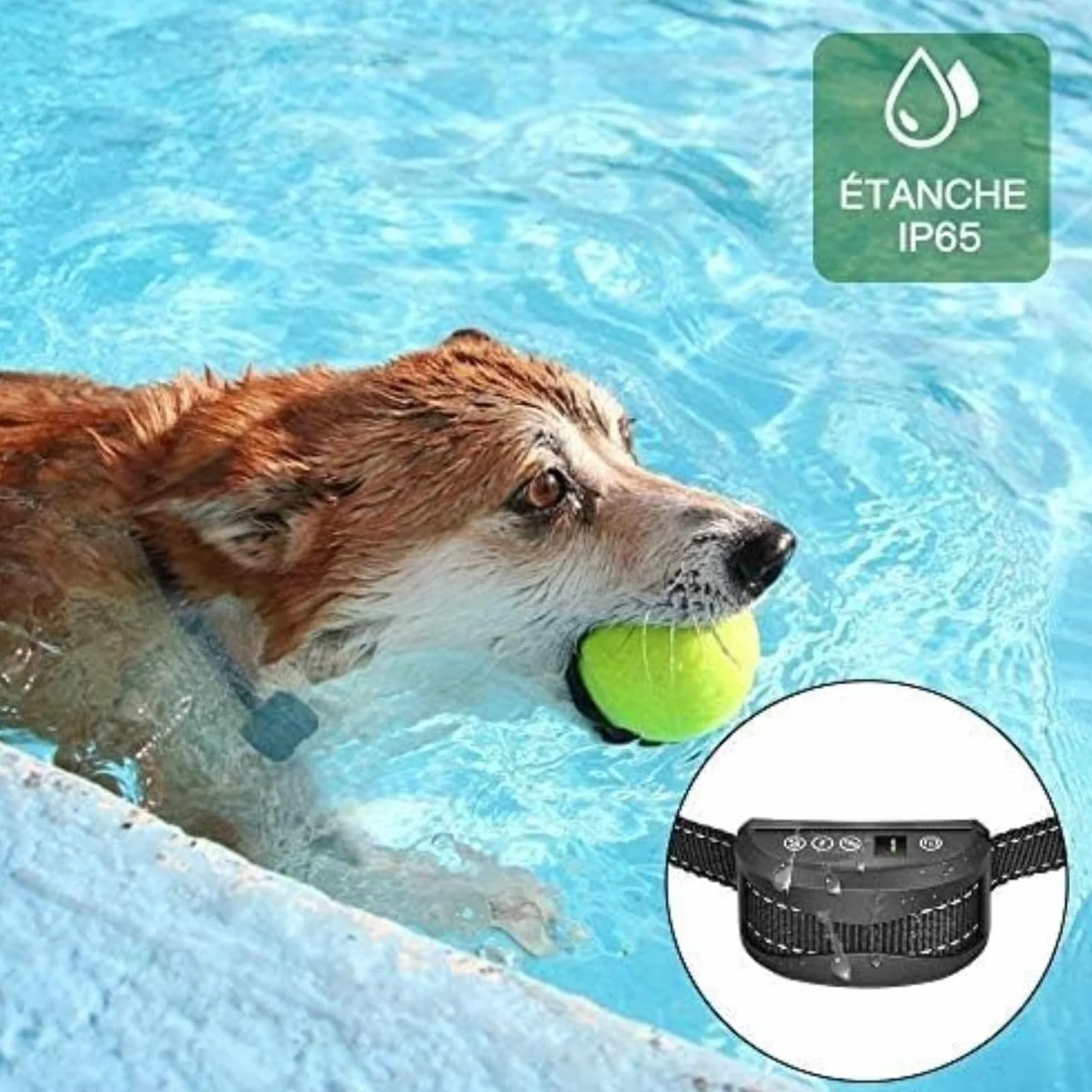 Collier Anti-aboiement Chien 3 Modes Choc Électrique Vibration Sensibilité Batterie Rechargeable Sangle Réfléchissant Réglable