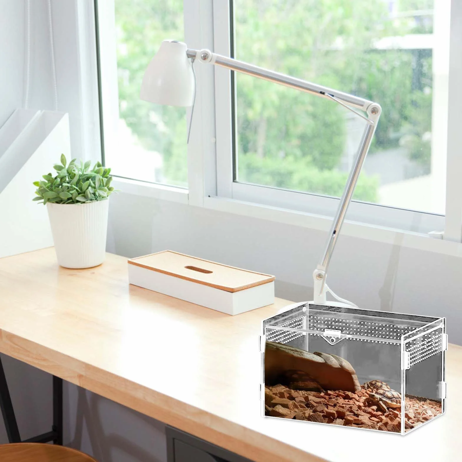 Boîte d'alimentation pour reptiles en acrylique 20x12x12 cm Mini terrarium transparent Avec tweezer en acier inoxydable