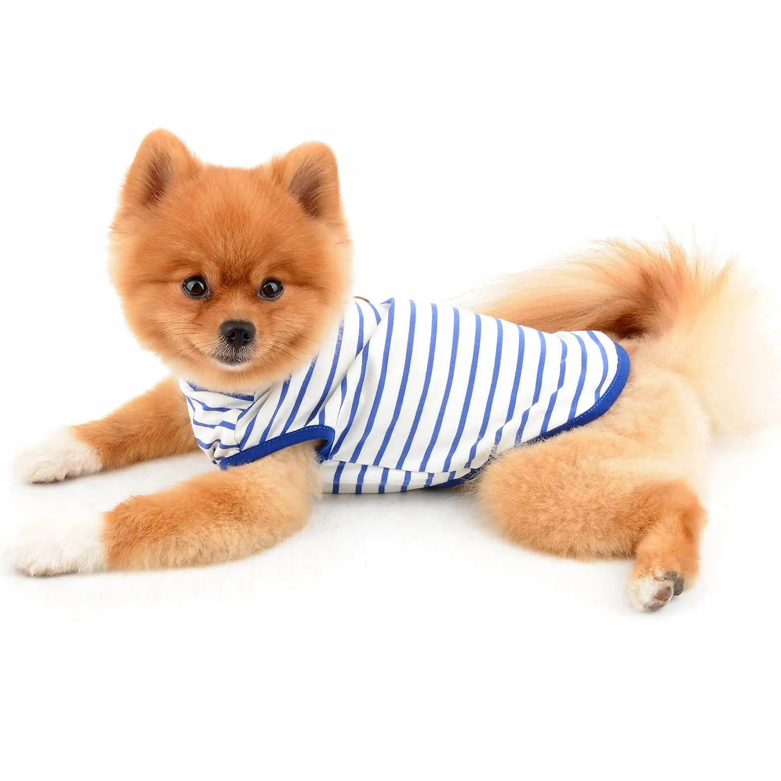 PAIDEFUL Chemise britannique rayée pour petit chien, gilet pour chat, T-shirt en coton doux pour chiot, vêtement d'été respirant