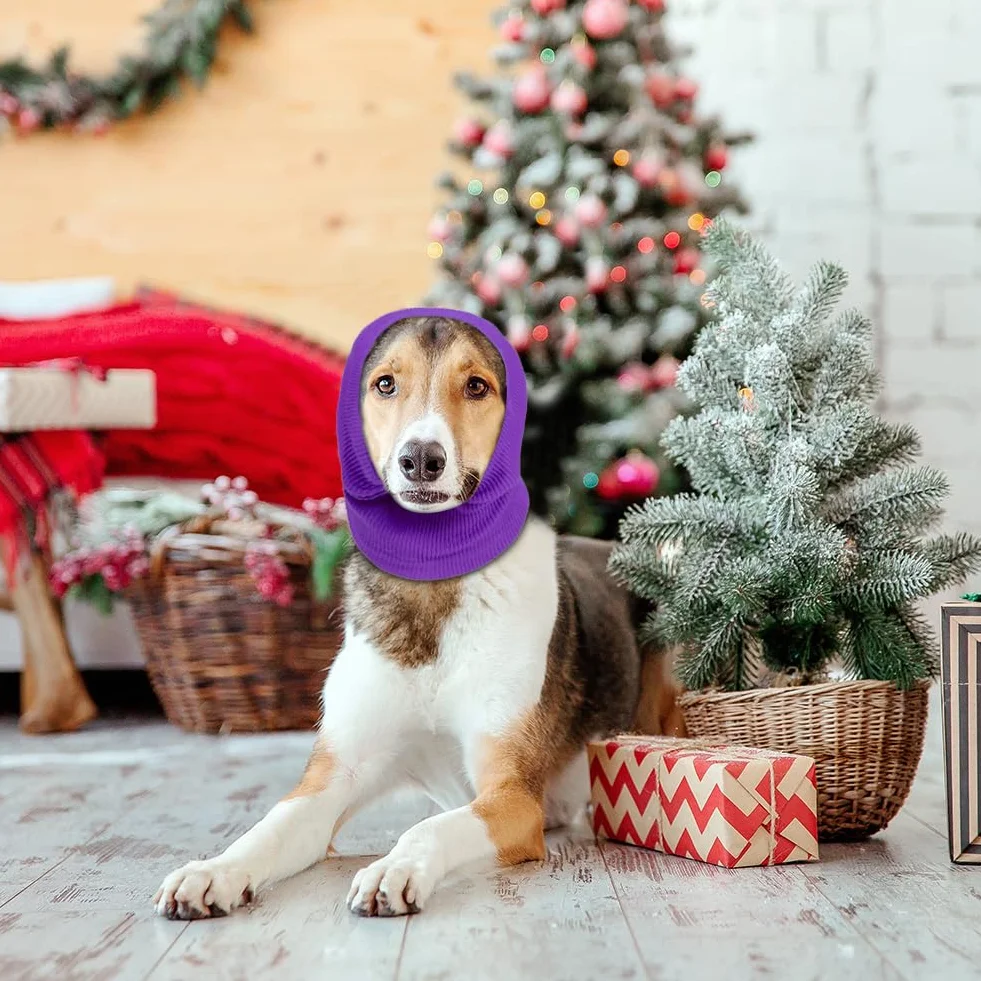 Cache-Oreilles Aomig pour Chiens - Snood Chaud Protection Oreilles Été/Hiver Violet