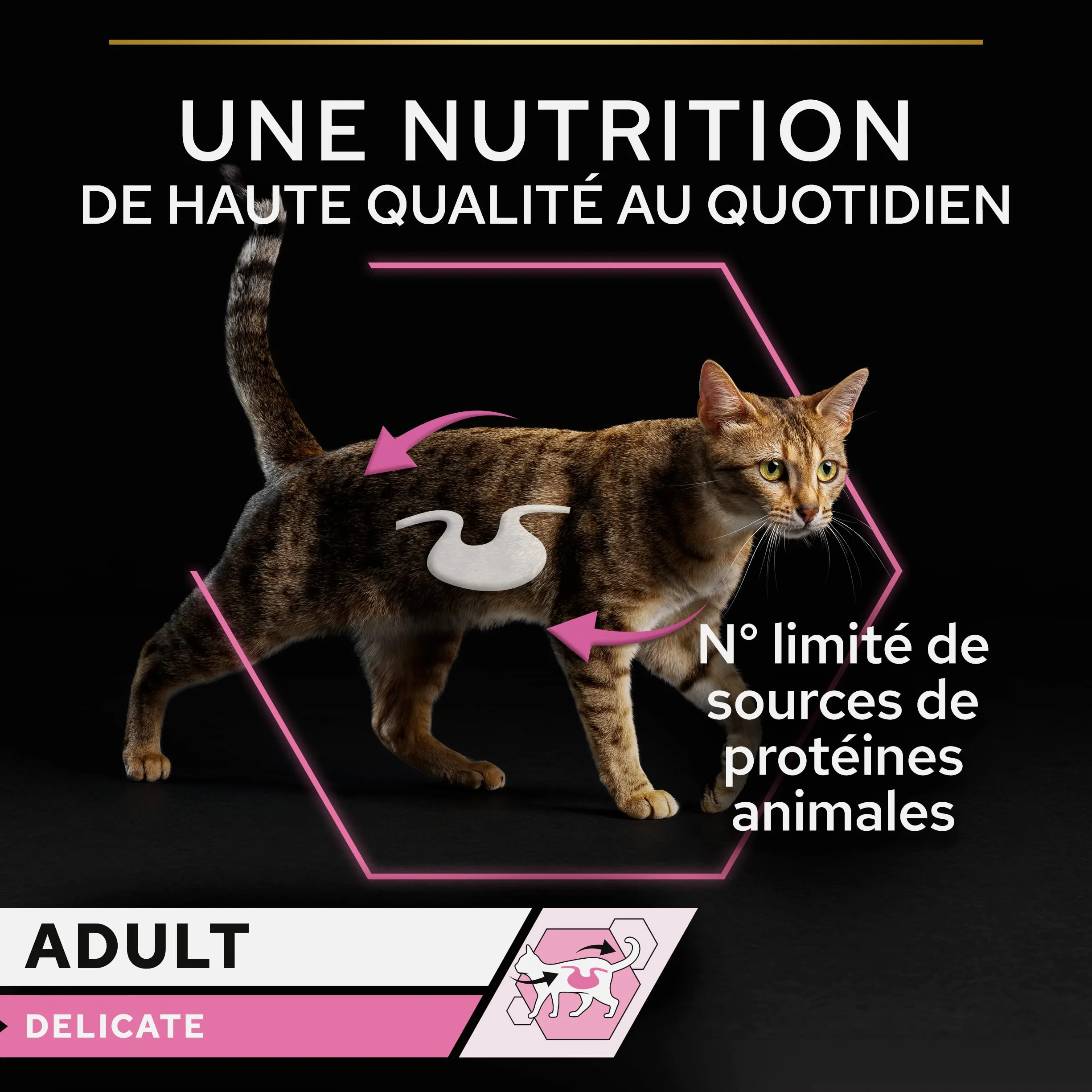 Pro Plan Adulte Delicate Digestion Dinde Poisson Sauce 10x85g