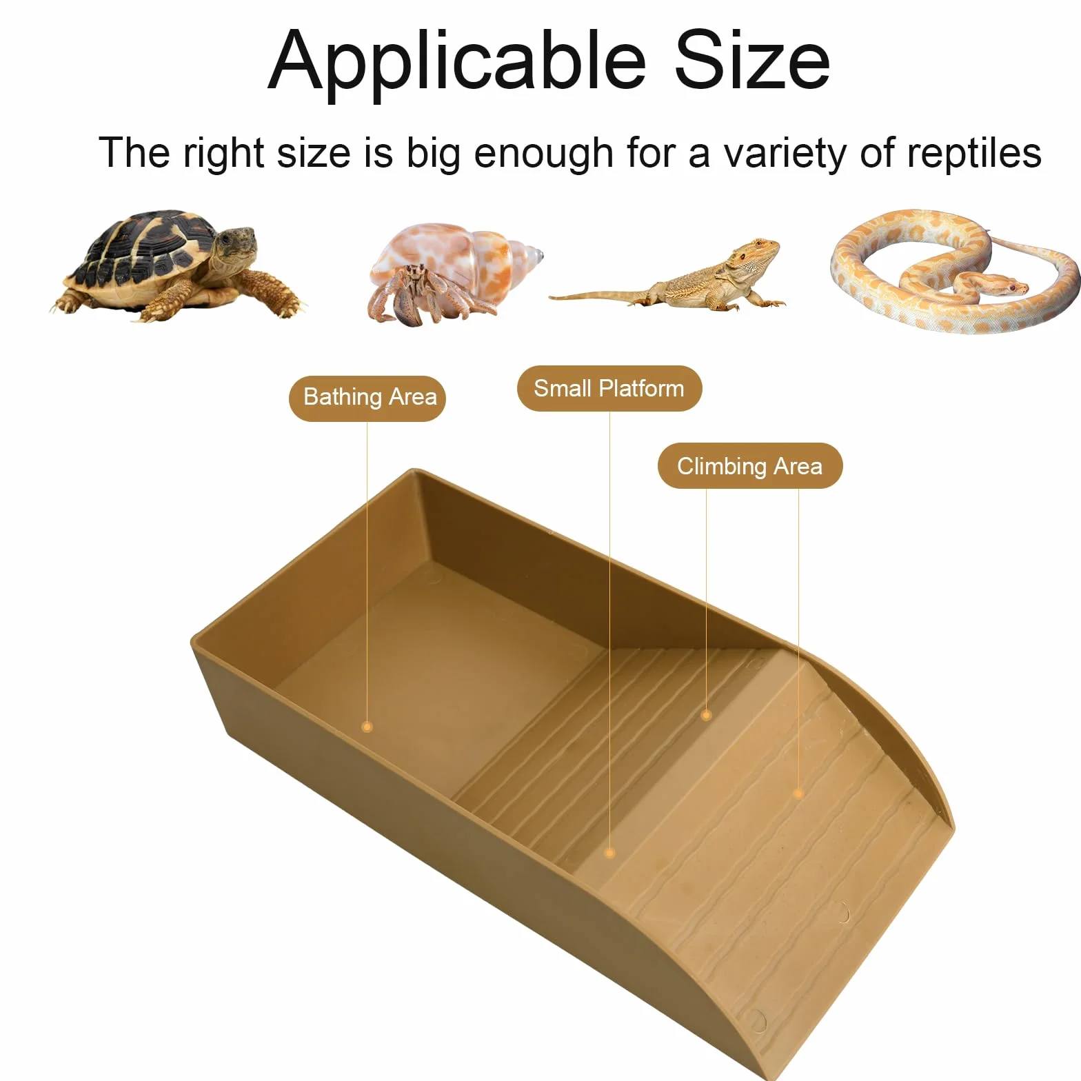 Bassin de Bain Tortue avec Bol Mangue - Accessoire Terrestre, Mangeoire Terrarium