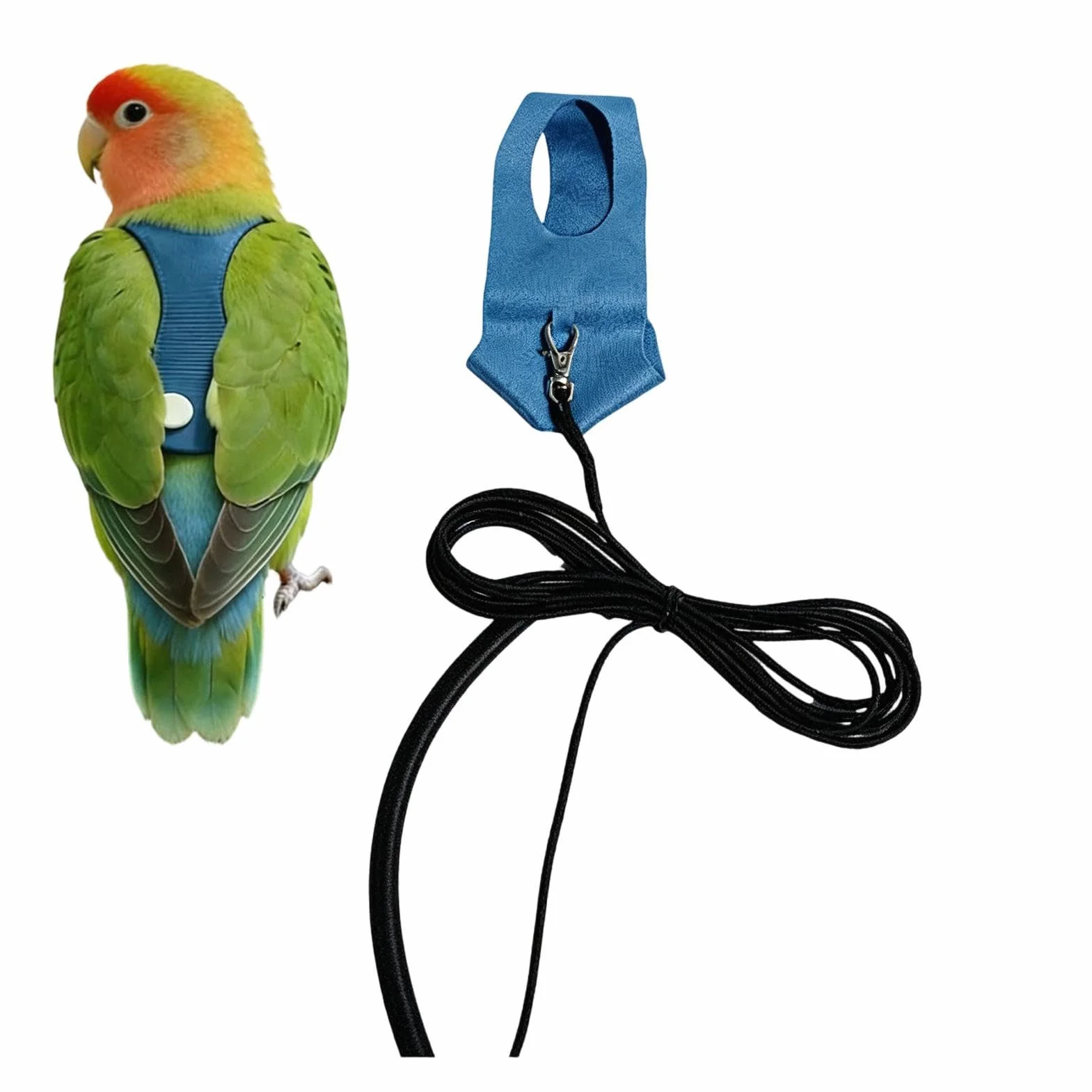 Harnais Perroquet Laisse d'Entraînement Calopsitte Conure pour Propriétaires Promenades