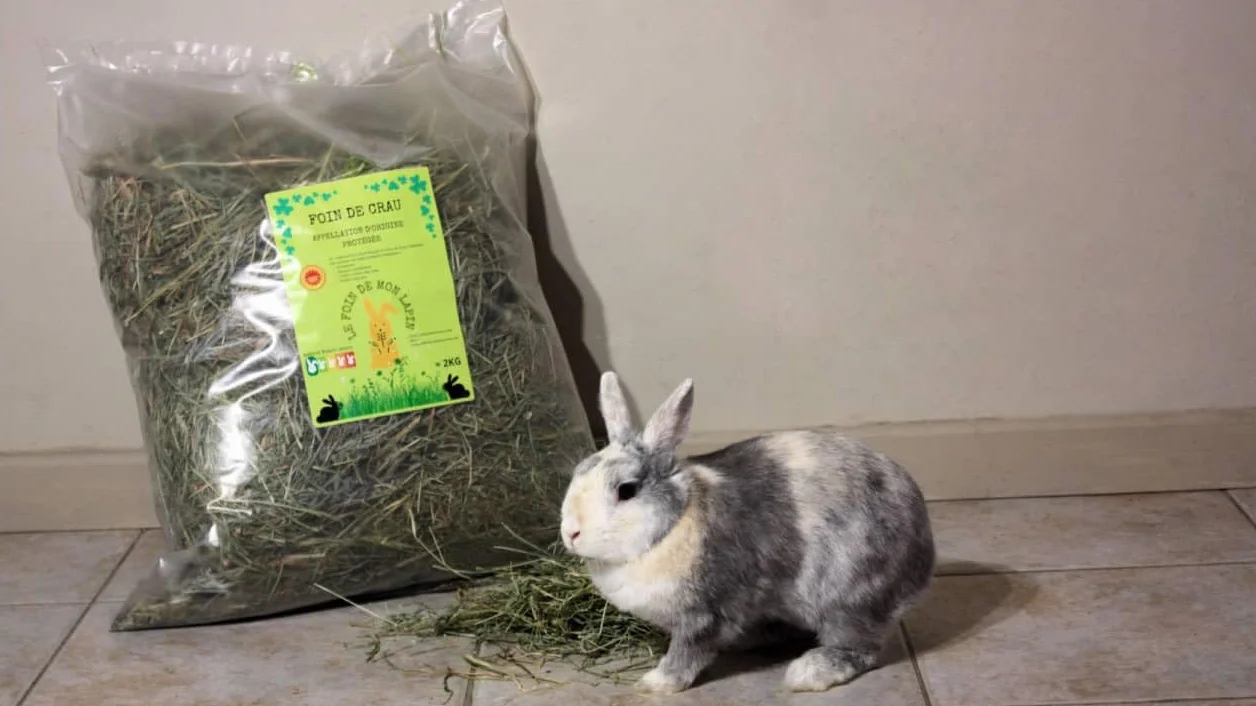 Foin De Crau AOP/AOC 2kg pour Lapin et Rongeur