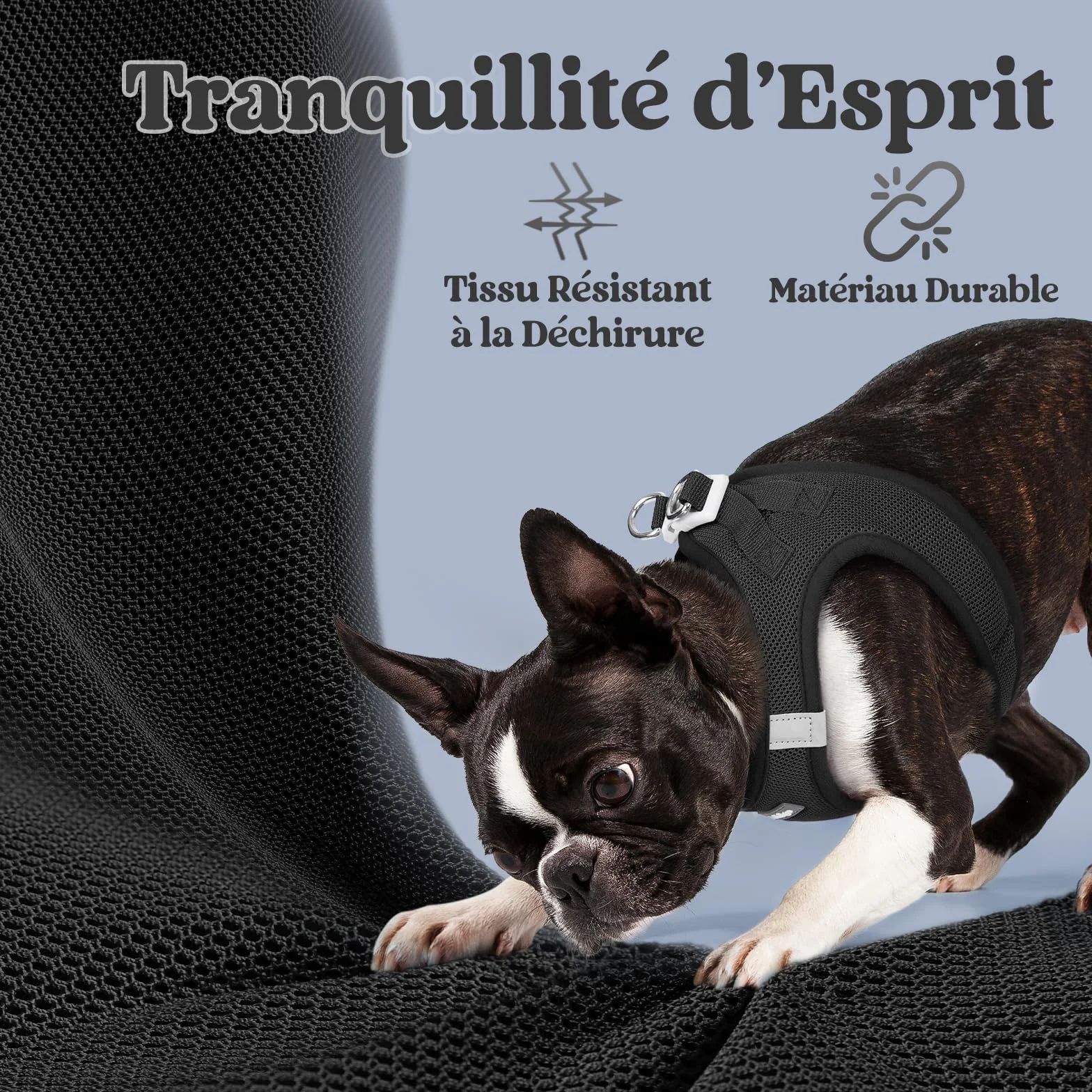 Rabbitgoo Harnais Chien Petite Taille Noir S, Harnais Respirant en Maille Souple Réfléchissant pour Petit Chien Marche Course