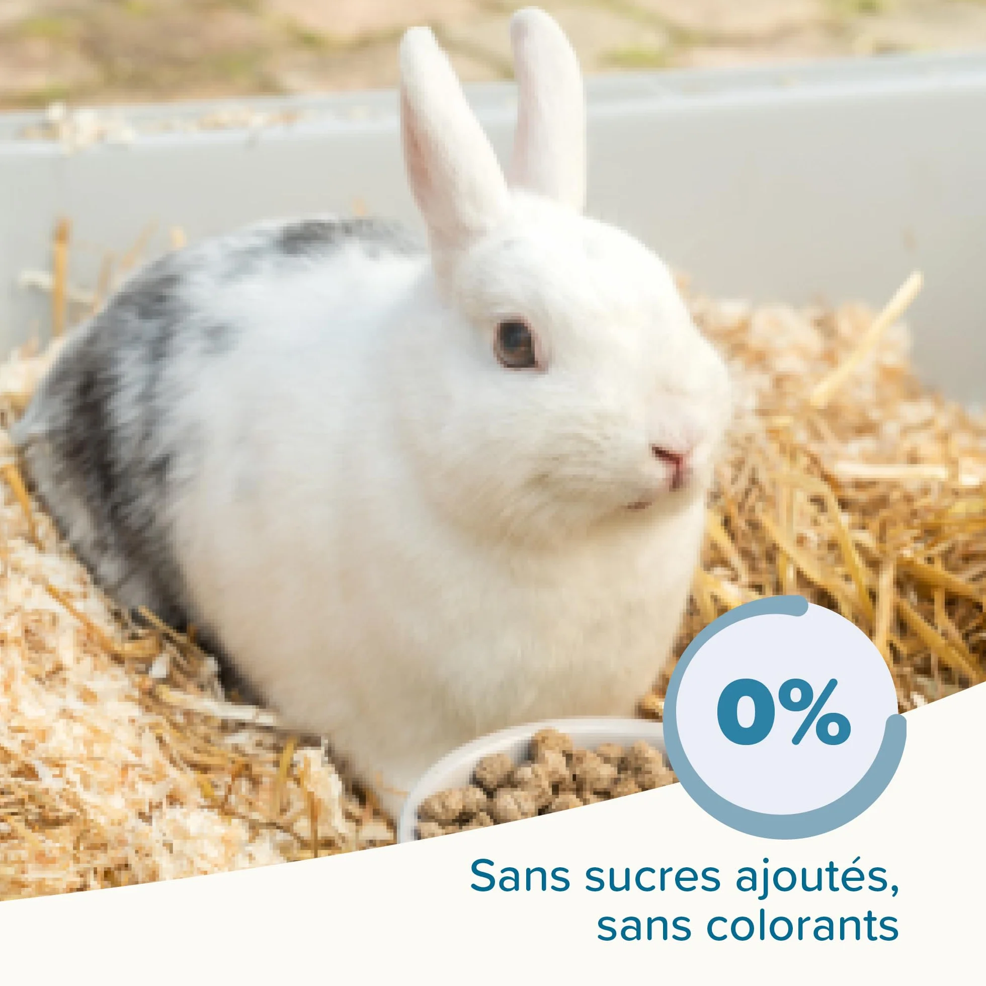 BEAPHAR Care+ Alimentation Super Premium extrudée pour Lapin Junior 25% Fibres 1.5 kg