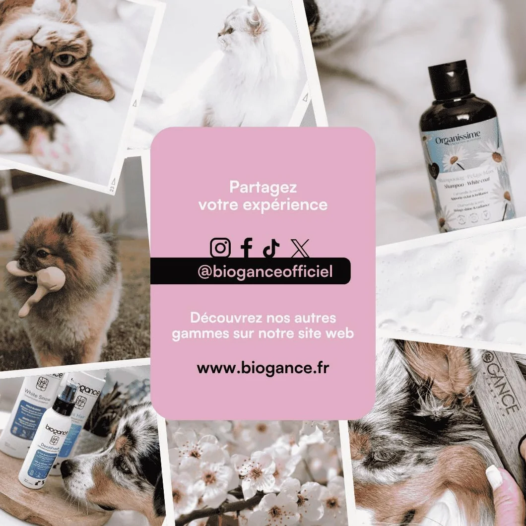 Biogance Démêlant Xtra Liss 250 ML Soin Chat Poils Longs Protéine de Riz Fabriqué en France