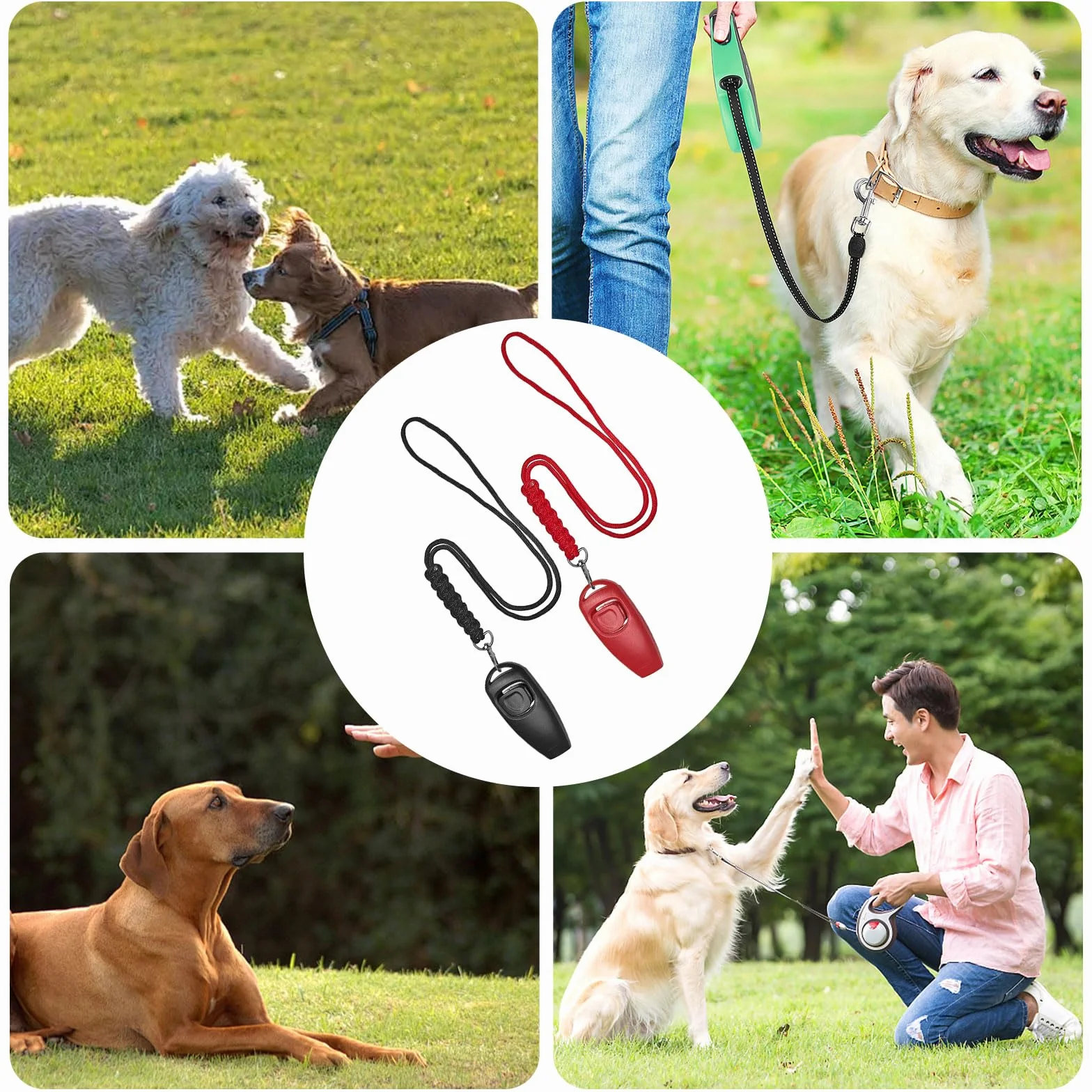 Sifflet Chien Rappel Ultrason Double Mode 2 en 1 Plastique ABS Acier Inoxydable avec Cordon Rouge Noir