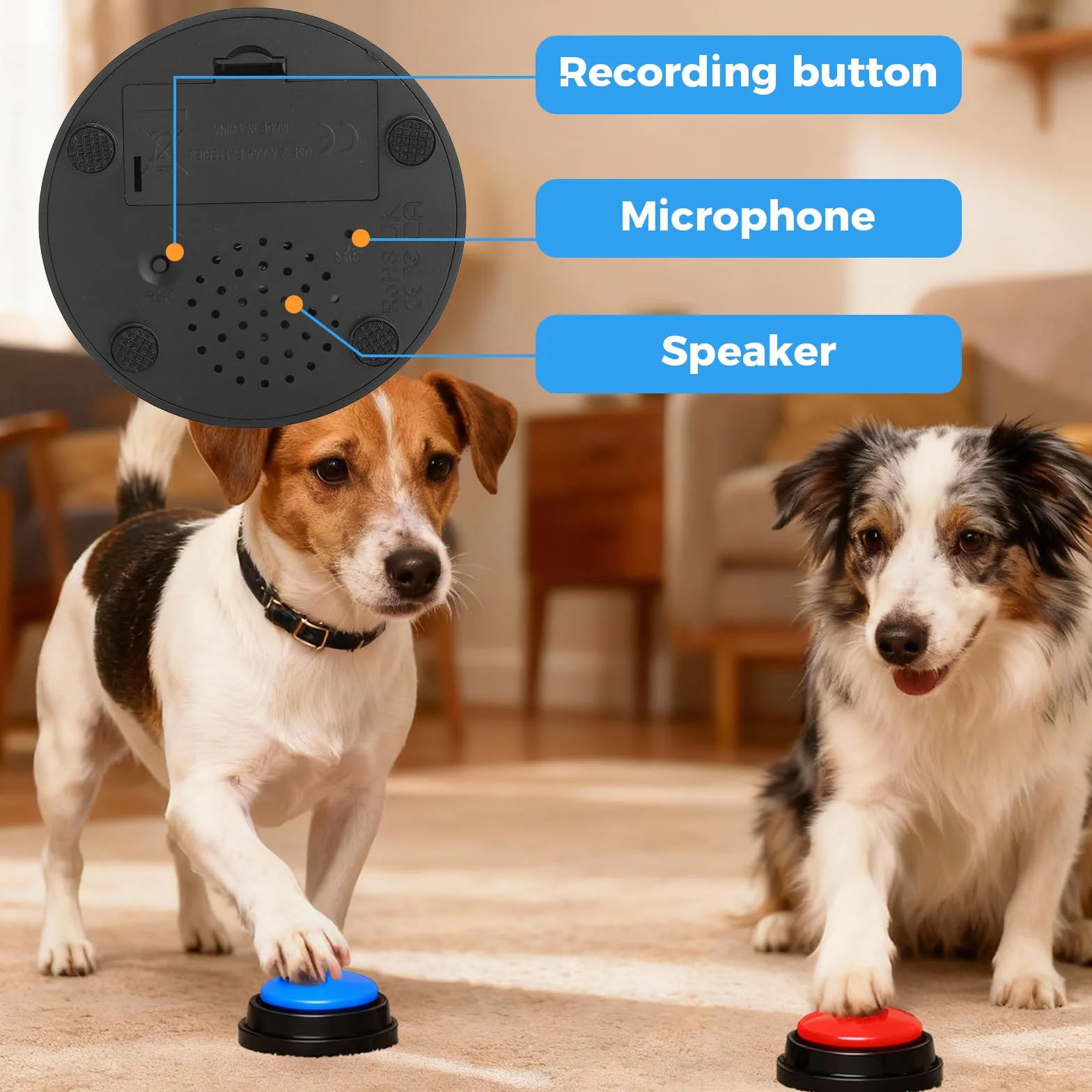 HENGBIRD Lot de 2 Buzzer pour Jeux de Questions, Buzzer Button, Buzzer enregistrable avec Fonction d'enregistrement de 30 Secondes, Bouton Parlant pour Chiens et Chats (Rouge et Bleu)