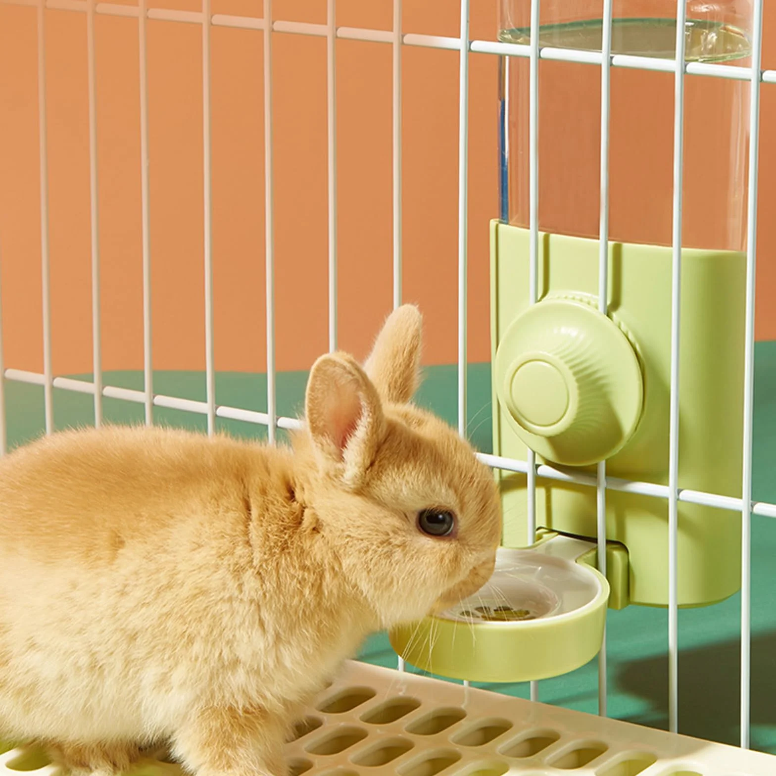 Distributeur d'eau automatique pour lapin 600 ml suspendu vert