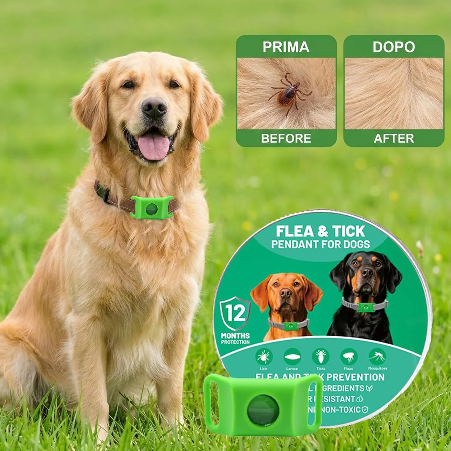 Kanivora Collier Antiparasite Chien 100% Naturali Regolabile Protegge Da Pulci E Zecche