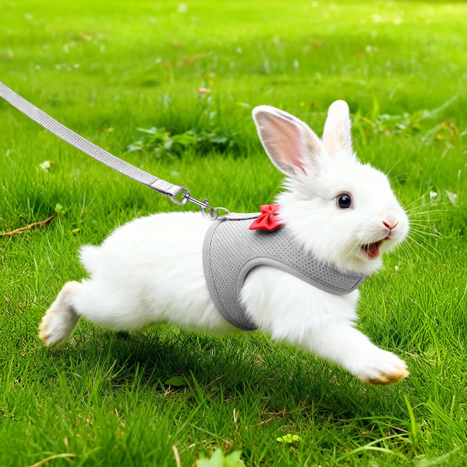Harnais souple réglable avec laisse élastique pour lapin furet chaton chiot petits animaux gris