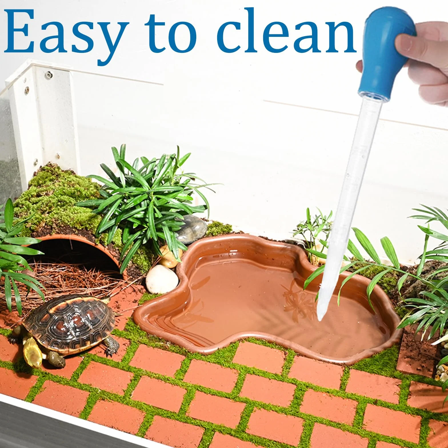 Baignoire pour Reptiles Piscine pour Tortue Terrestre avec Absorbeur d'eau Manuel