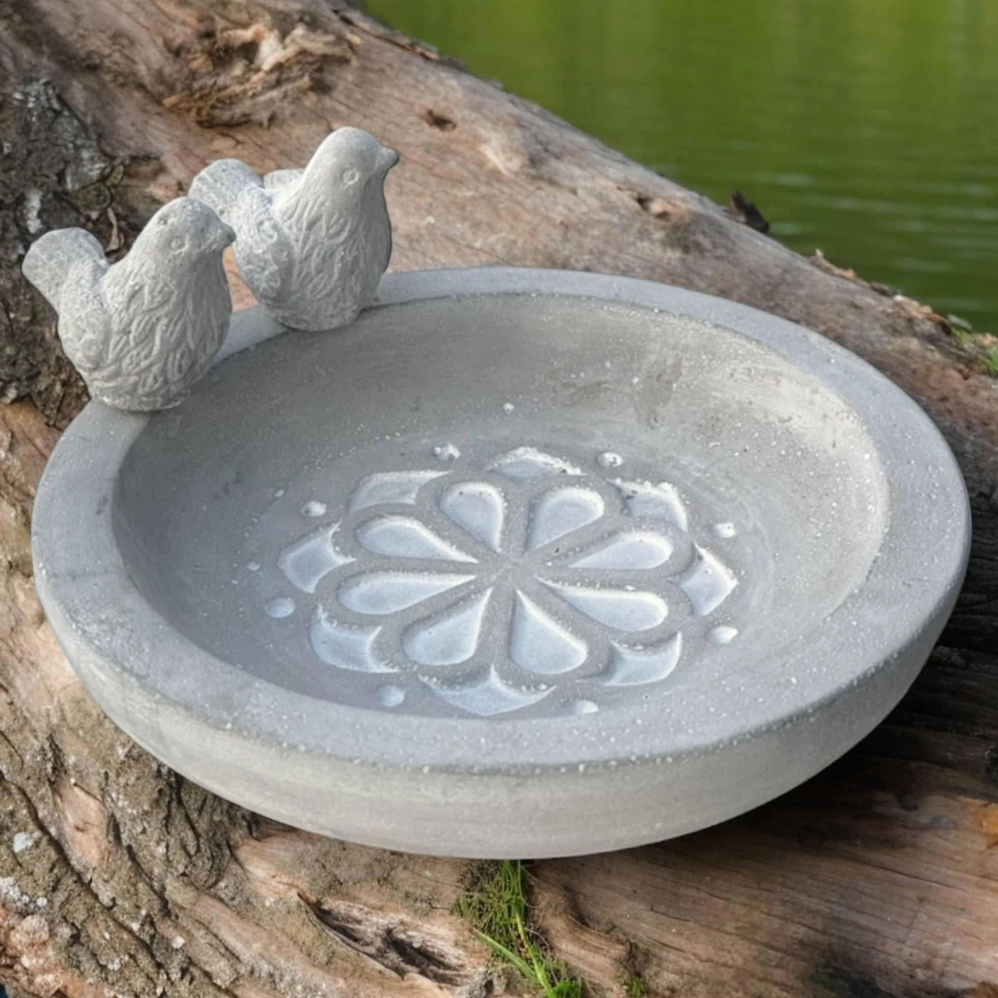 MIJOMA Bain d'oiseaux en ciment résistant au gel pour jardin, décoration fleurs et oiseaux