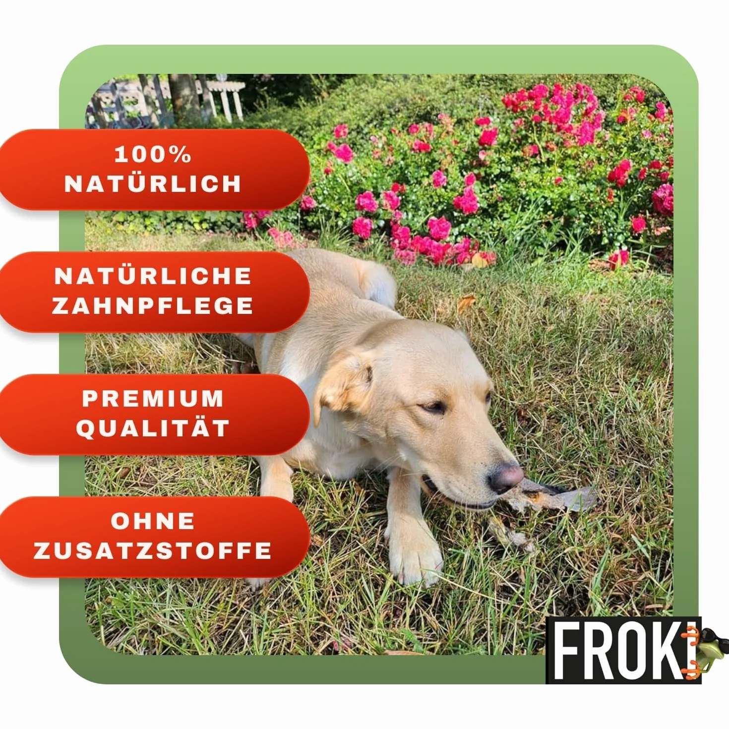 FROKI Lot de 10 oreilles de bœuf de qualité supérieure avec fourrure pour grands et petits chiens - 100 % bœuf - 100 % naturel - Friandises pour chien - Friandises à mâcher naturelles - Soin dentaire