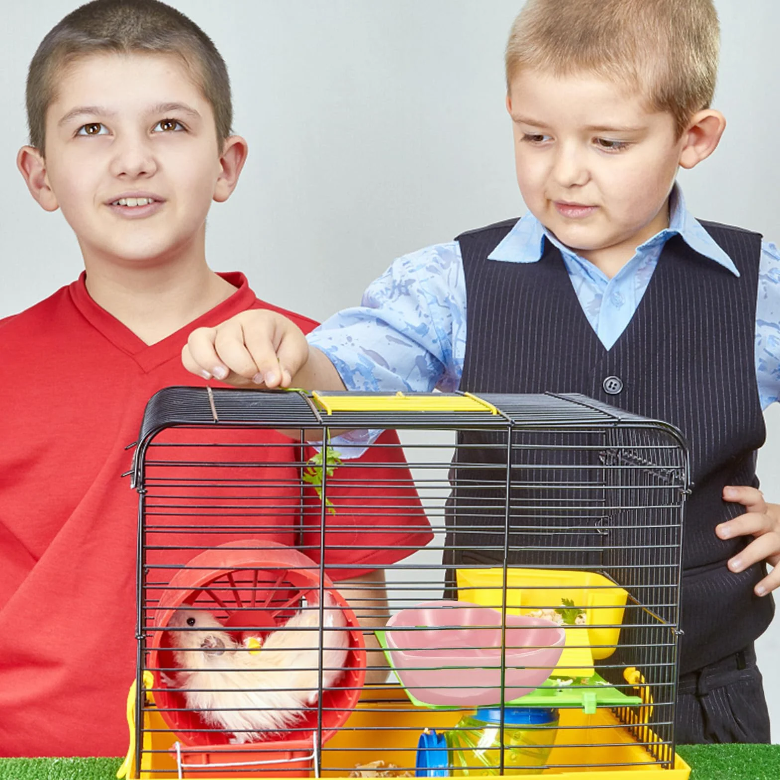 Bol pour Hamster en Céramique Cœur Rose Résistant à l'usure Surface Lisse