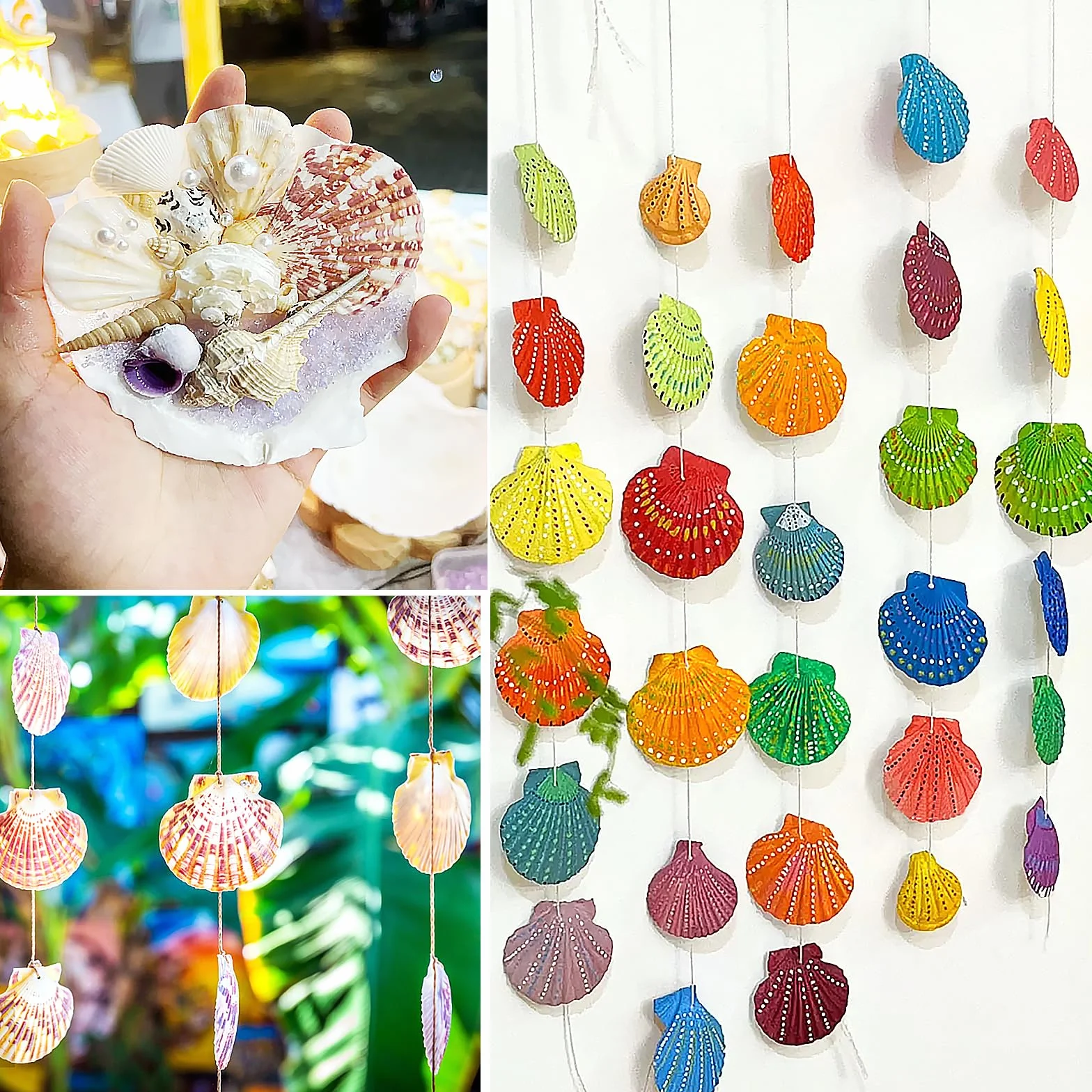 Coquillages naturels 48 Pièces 3-5cm Blanc Rose Décoration Mariage Plage Fête
