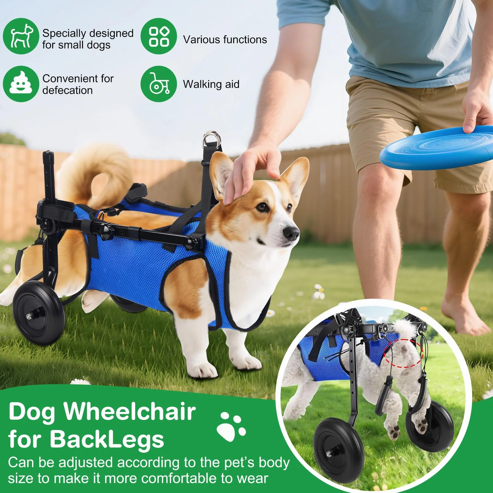 Fauteuil roulant réglable pour petits animaux de compagnie - Support jambe arrière pliable avec roues - Taille M