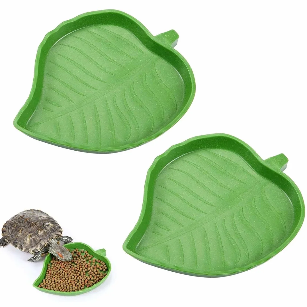 Bol D'Alimentation Pour Reptiles pour Tortues Lézards - Bol à Boire D'Eau en Feuilles