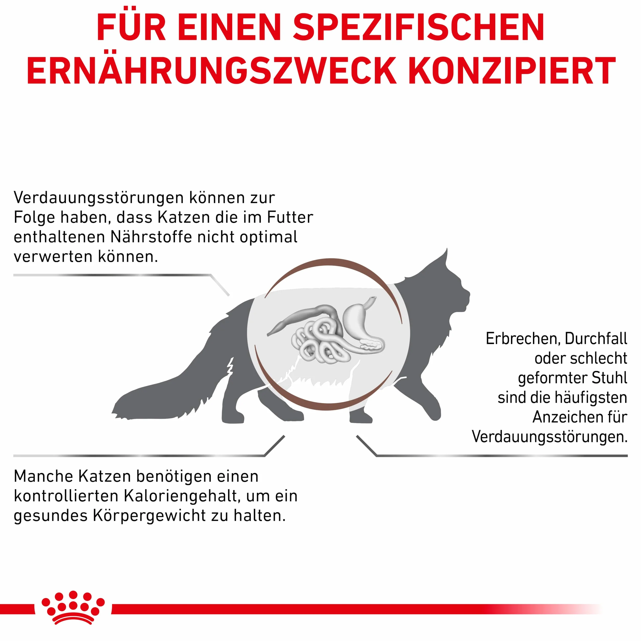 Royal Canin Veterinary Gastrointestinal Moderate Calorie 4 kg Nourriture Sèche pour Chats