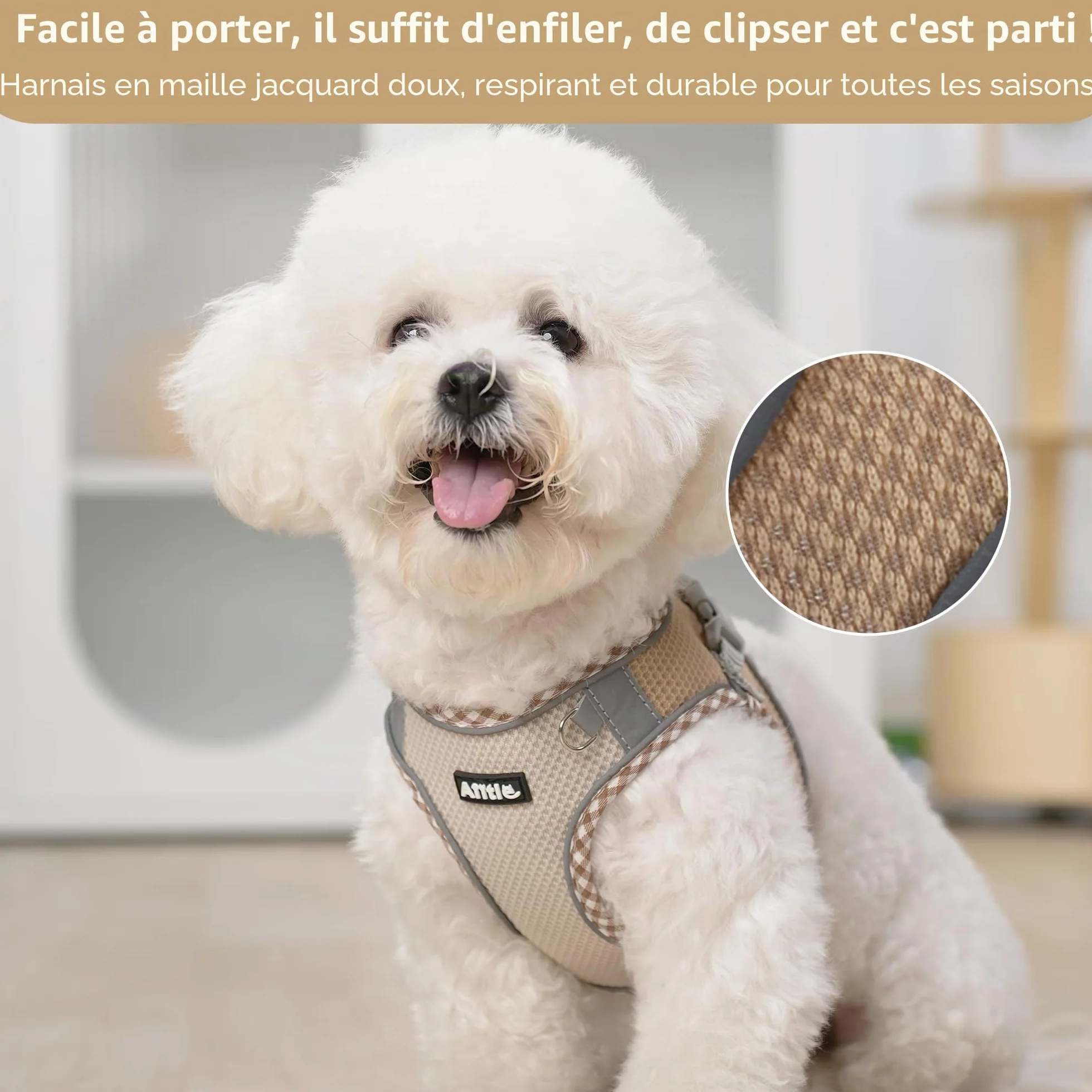 Ensemble Harnais et Laisse pour Chien Promenade, Harnais Chiot Bandes réfléchissantes, très Petits Chiens Chats Marron-Beige XXXS