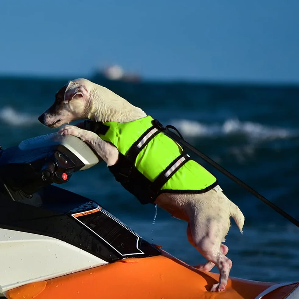 Gilet de Sauvetage Chien FainFun avec Bandes Réfléchissantes et Ceinture Réglable Vert XL