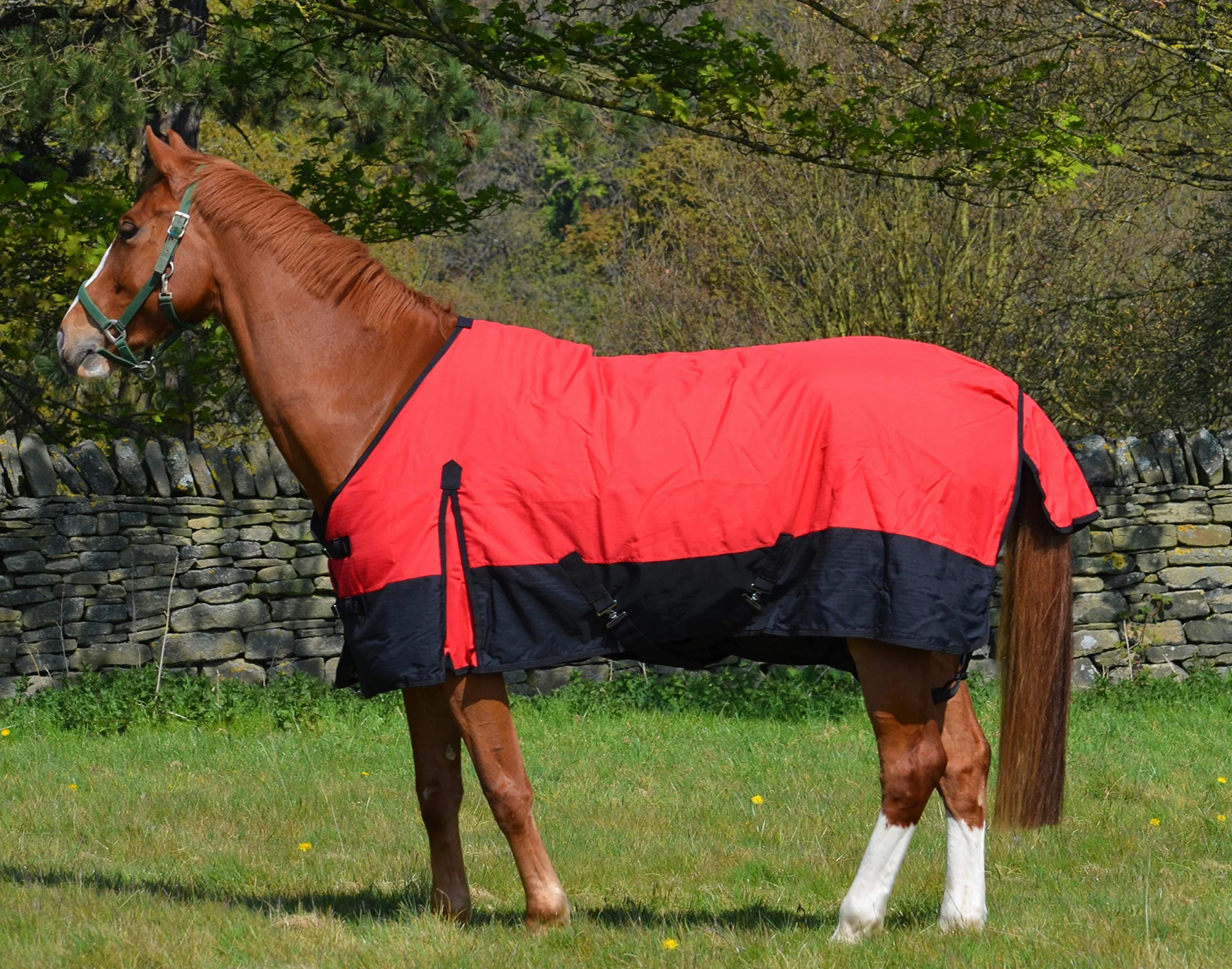 600d - Tapis imperméable léger pour cheval (100 g, col standard, 100 g)