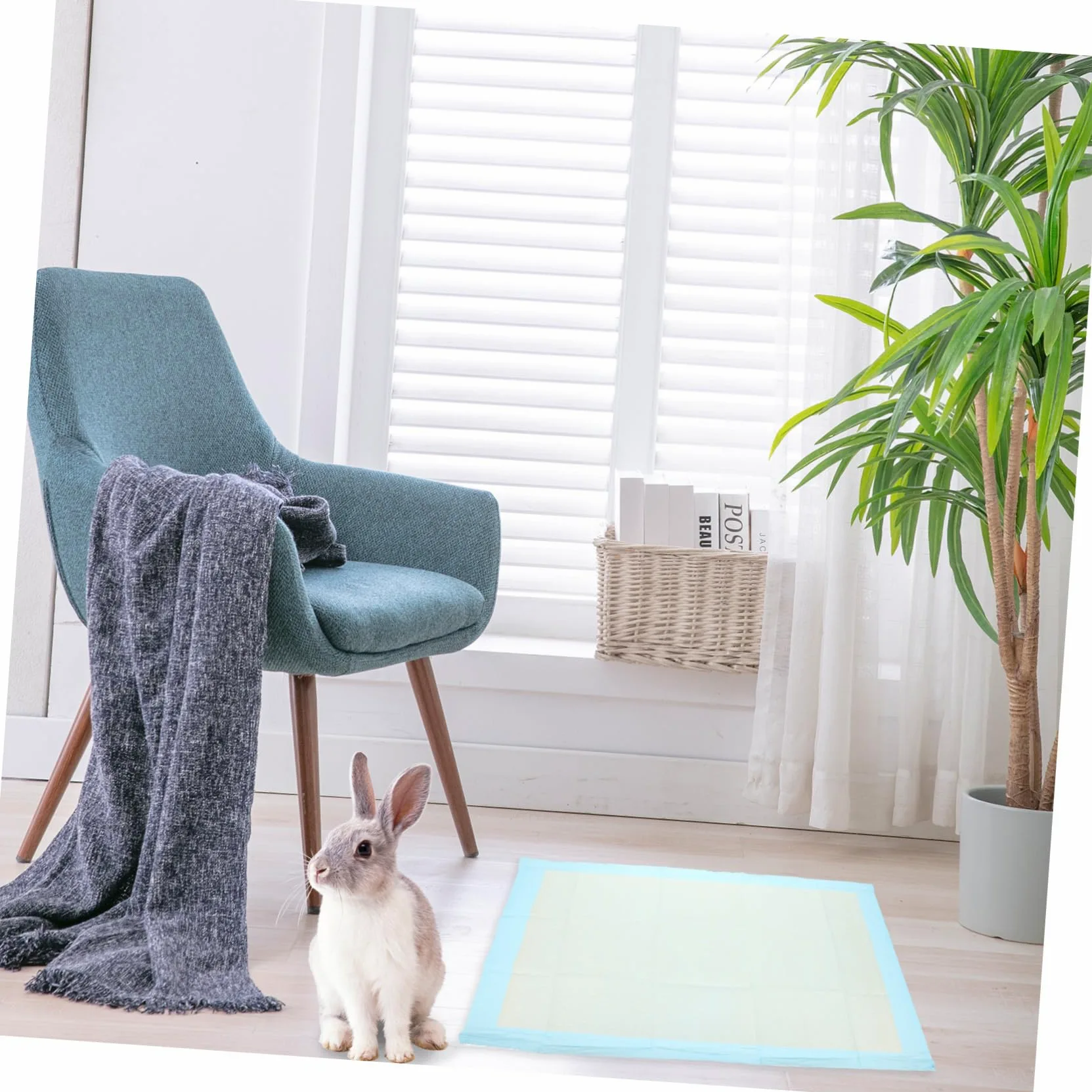 Abaodam Tapis de Propreté pour Chiens Tapis Absorbants pour Chiens de Petite Taille Sèche Rapide Utilisation Multi-Chiens Non-tissé 50 Pièces Éducation des Chiots pour Petits Animaux