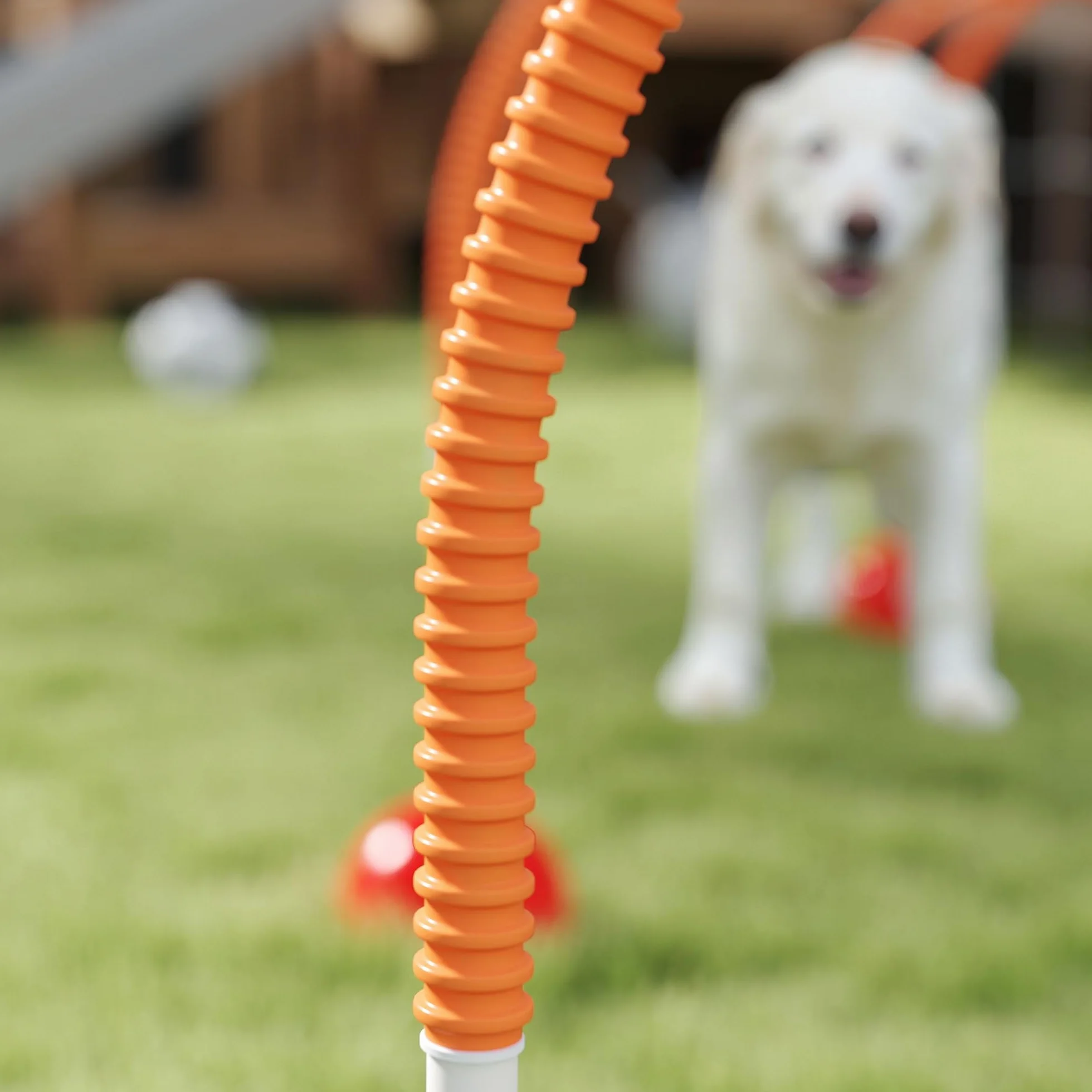 PawHut Kit d'équipement d'agilité pour Chien avec 4 Portes à Largeur réglable, Sac de Transport, Jaune et Orange