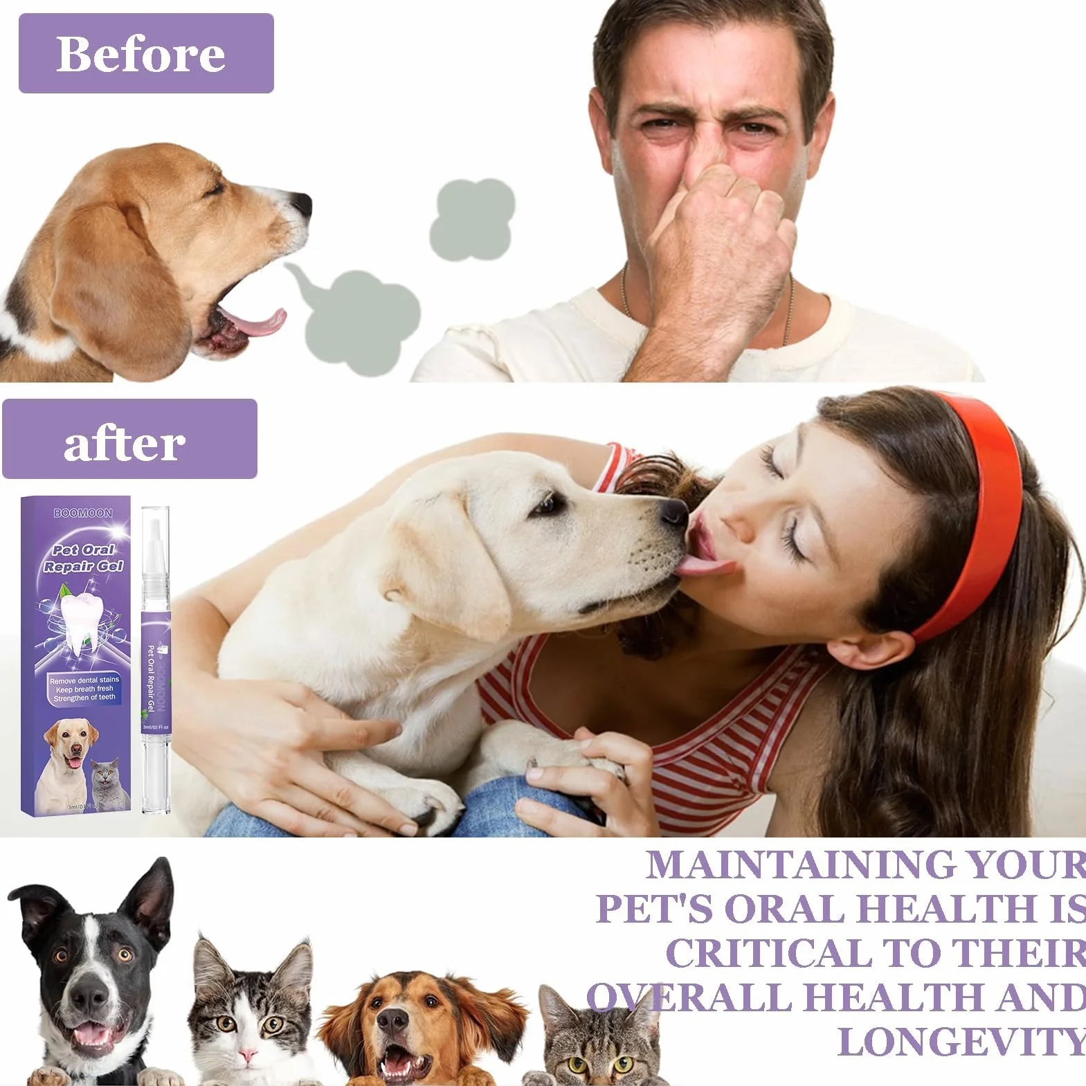 Gel réparateur oral Pet 3PCS pour éliminer la mauvaise haleine et lutter contre le tartre