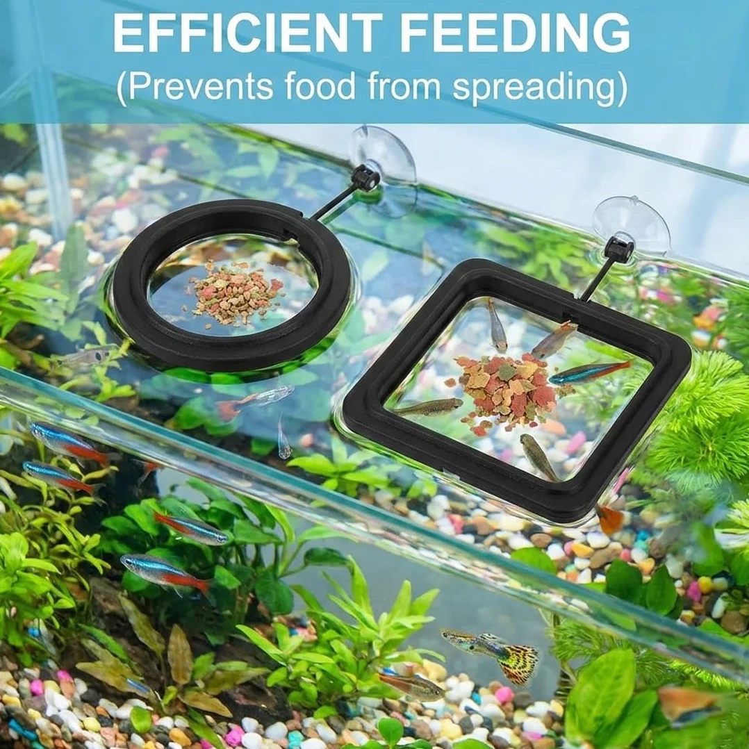 Lot de 4 anneaux de nourrissage pour aquarium flottants avec ventouse support nourriture poissons plantes flottantes Noir