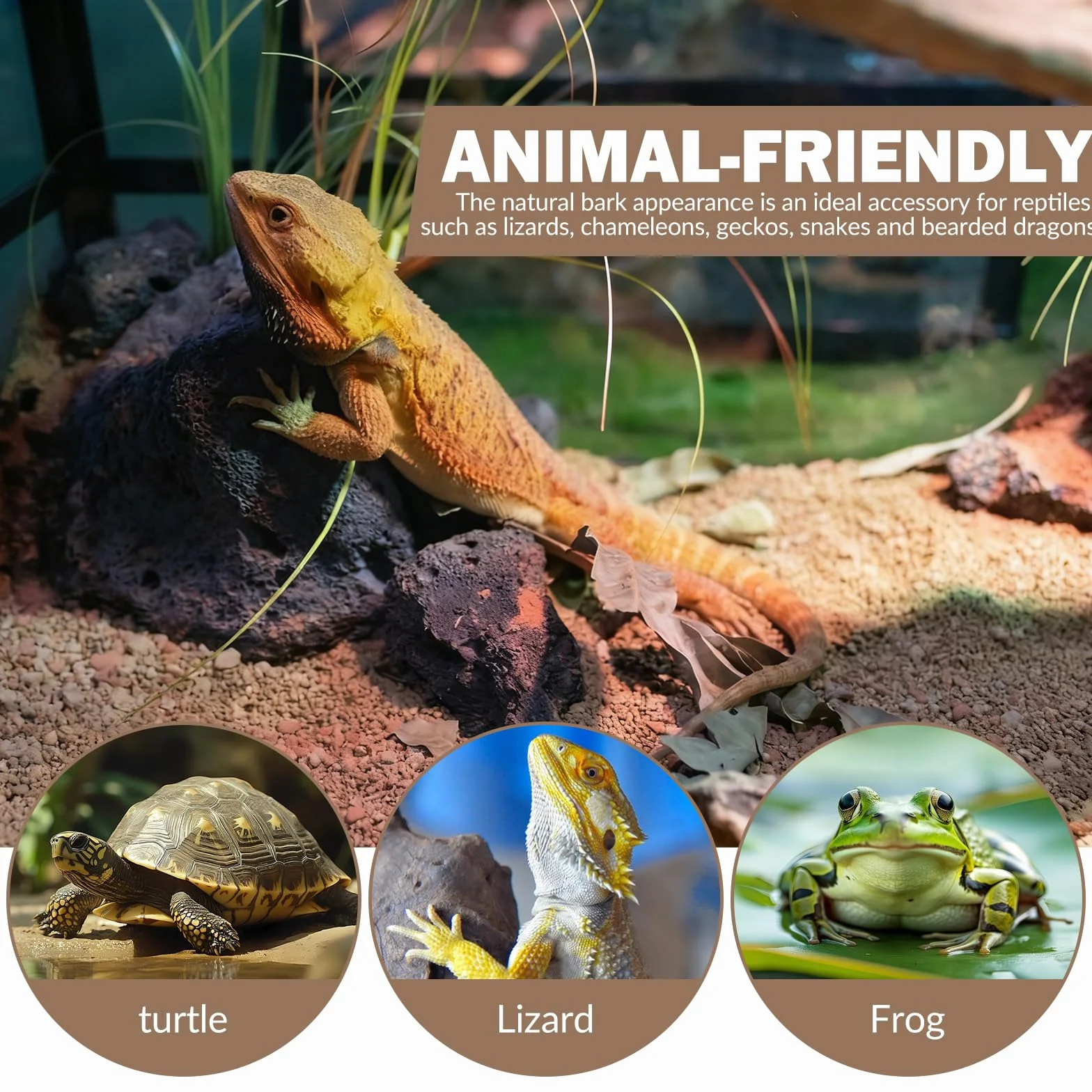 Lot de 3 écorces de liège pour terrarium 15 x 30 cm - Décoration d'arbre - Plaque de fond pour reptiles