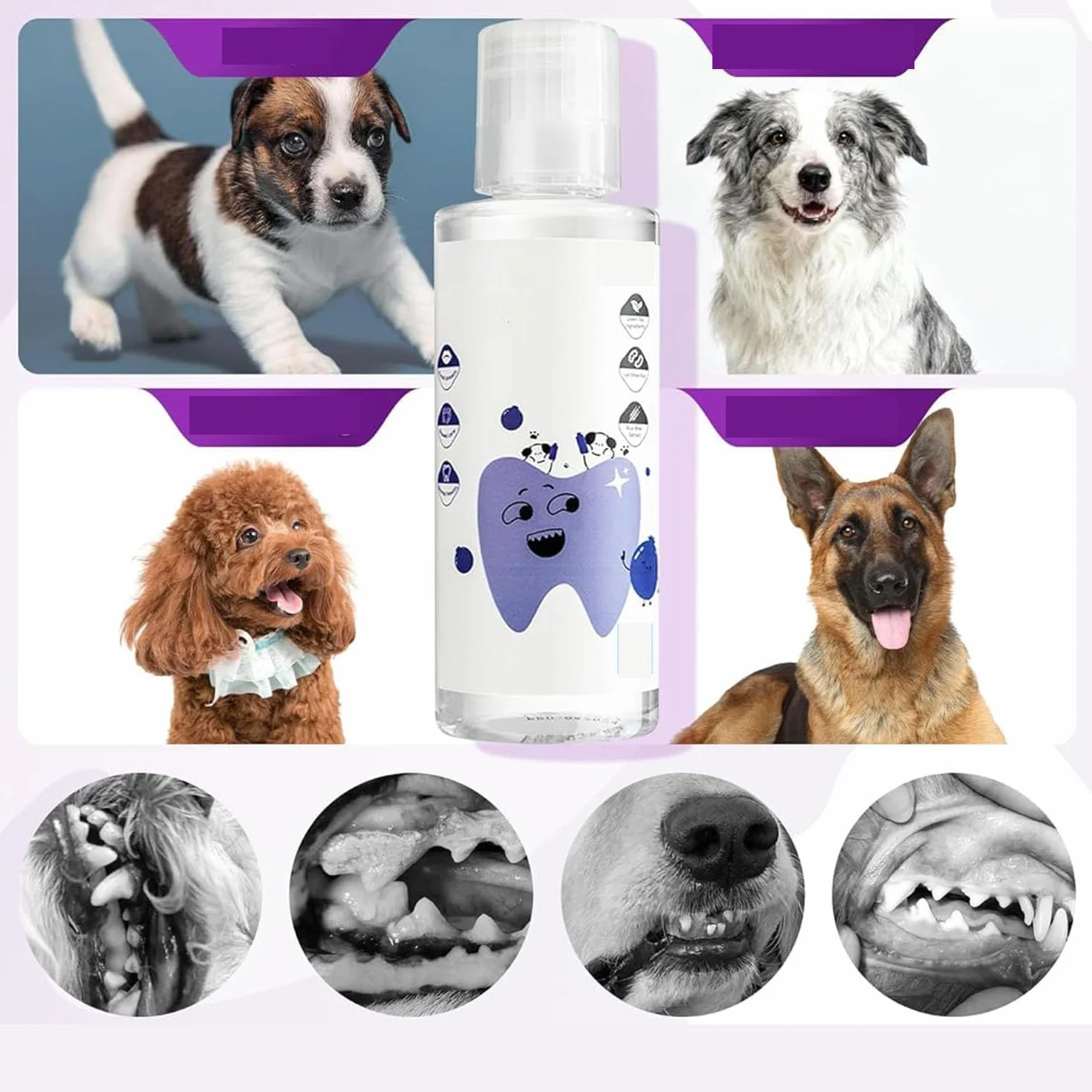 PawBright Dental Plus bain de bouche naturel sans saveur formule naturelle anti-tartre gencives saines haleine fraîche