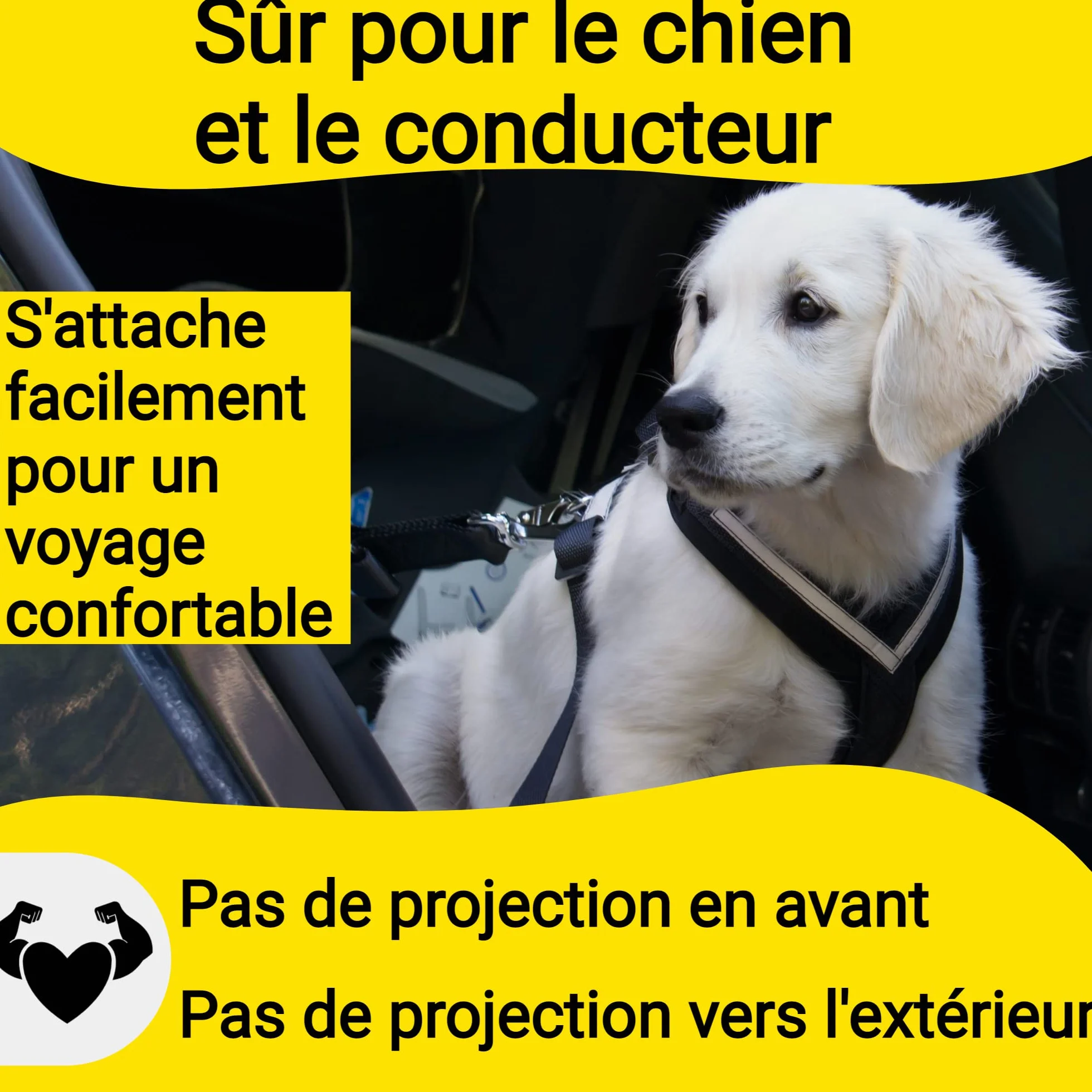 Hundefreund Ceinture de Sécurité pour Chien Voiture Extrêmement Sûre - Ceinture Chien Voiture Réglable avec Amortisseur pour Tous Les Types de Voitures et Toutes Les Races de Chiens