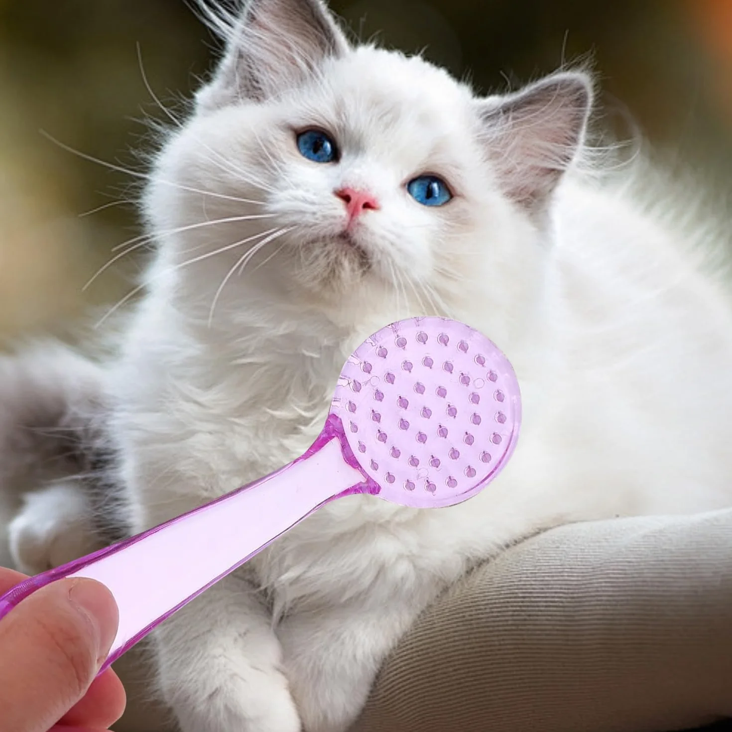 Peignes de toilettage et bain pour animaux de compagnie, brosse à ongles pour cochon d'Inde, lot de 3
