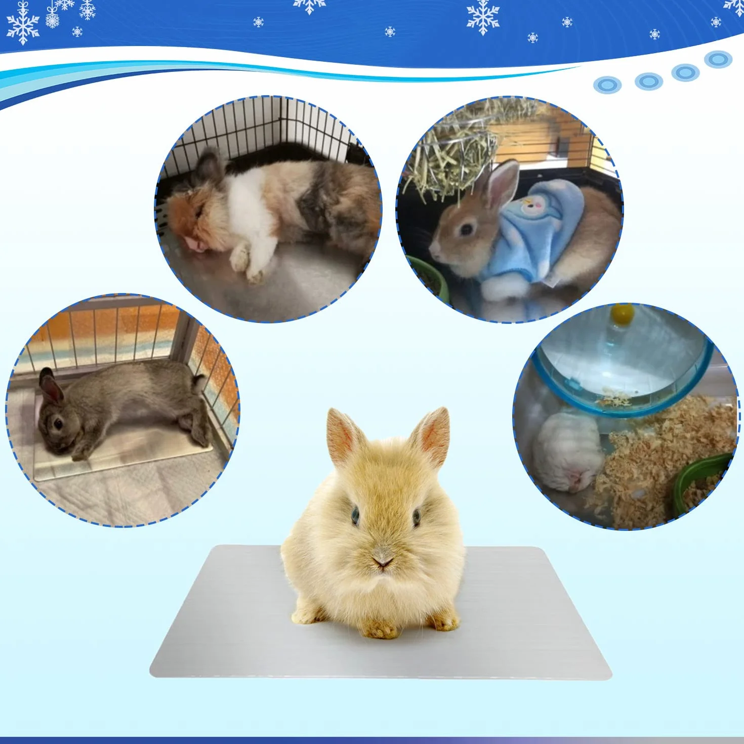 Coussin de Refroidissement pour Lapin 30x20cm Tapis de Refroidissement pour Petits Animaux Restent Cool Assiette Cool Lapin