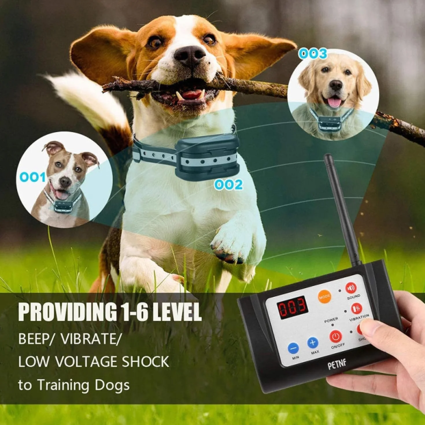Clôture pour Chien sans Fil 2 en 1 avec Collier de Dressage Rechargeable pour Intérieur et Extérieur