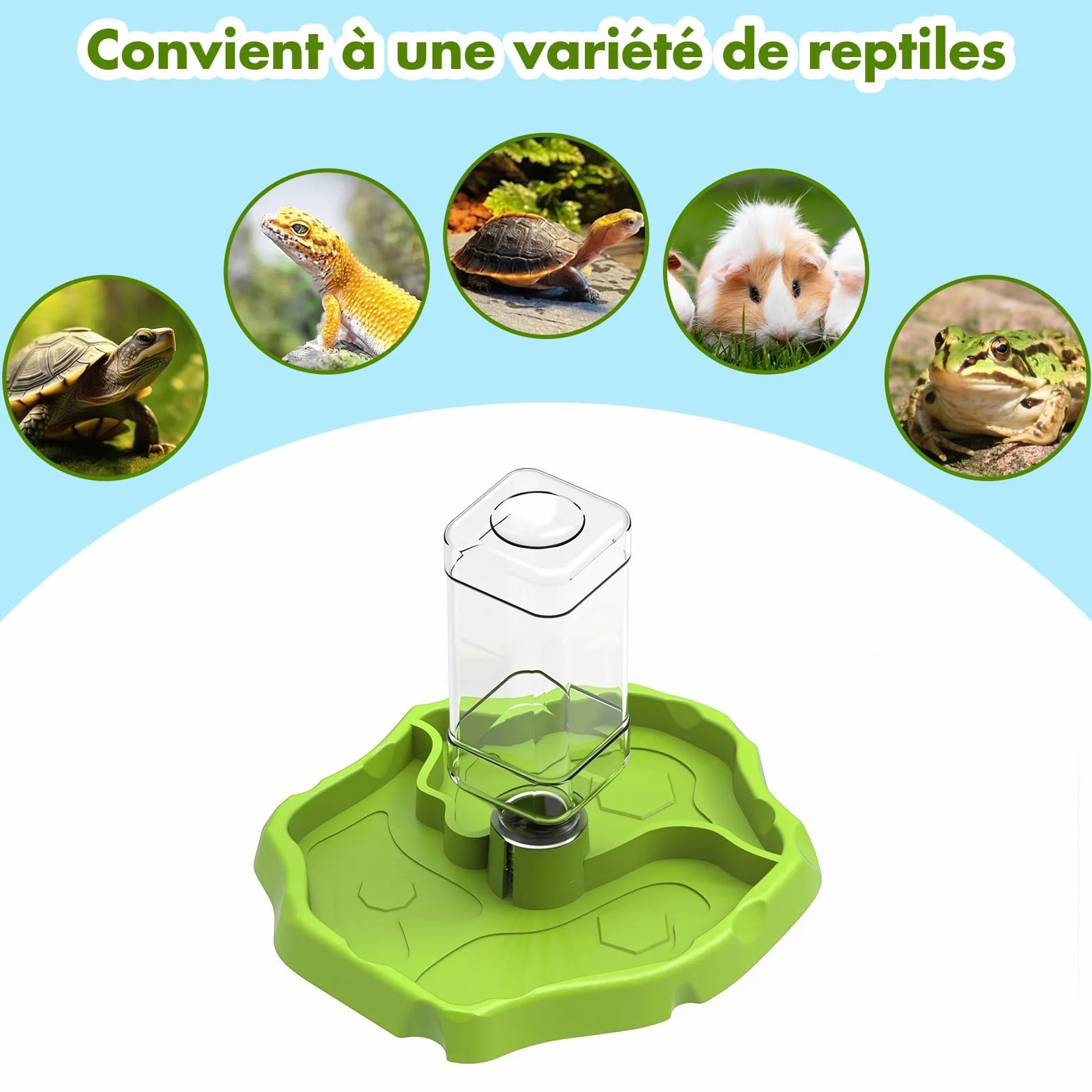Sharplace Mangeoire pour Reptiles et Accessoires d'aquarium Conteneur Polyvalent Herbe Verte