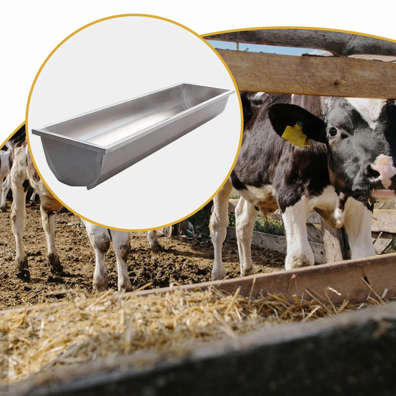 Mangeoire pour chèvres en Acier Inoxydable, Abreuvoir pour Moutons, Chevaux, Vaches