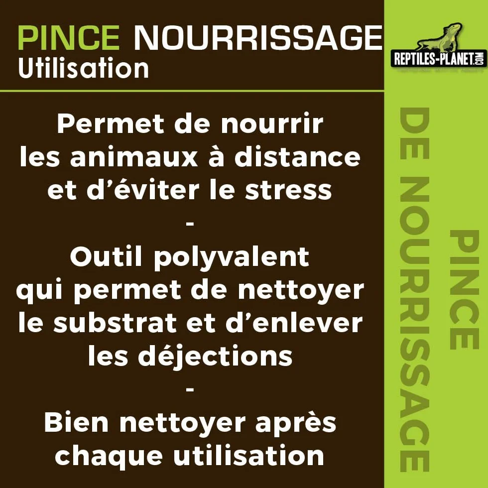 Reptiles Planet - Pince de Nourrissage pour Reptiles - 20,5 cm