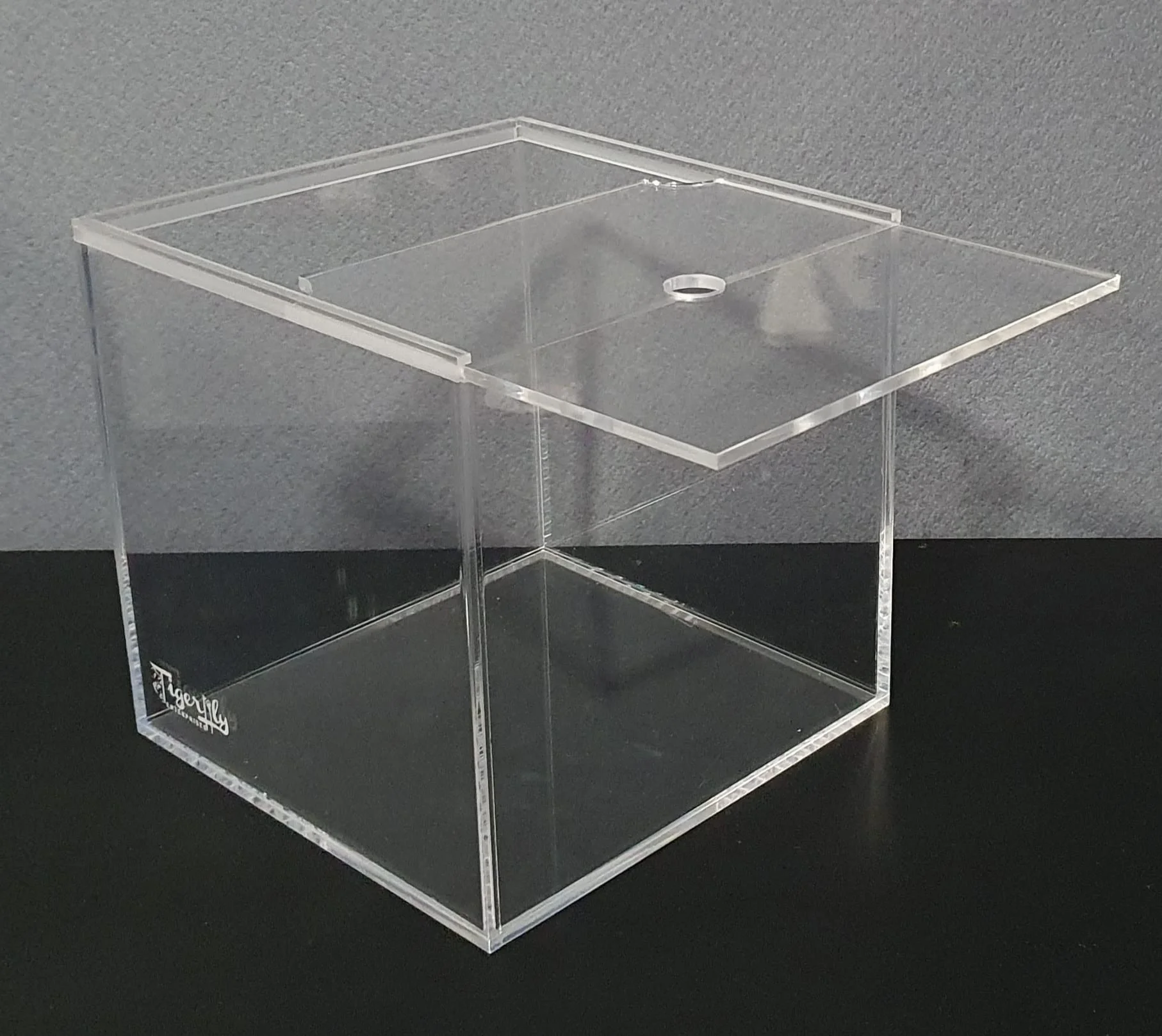 Petit aquarium portable en acrylique avec couvercle coulissant et trou d'alimentation pour terrarium, tortues et insectes 8 l (20 x 20 x 20 cm)