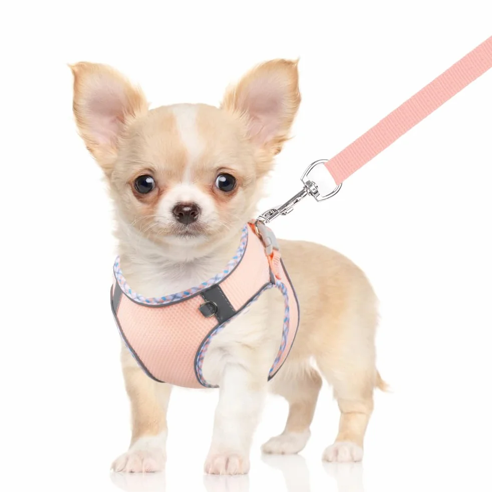 Harnais pour Chien Petite et Moyenne Taille, Harnais et Laisse pour Chiot, Maille Réfléchissante Respirable, Gilet Rembourré