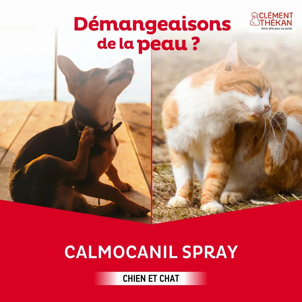 Clément Thékan Calmocanil Spray 200 ML Qui Calme et soulage Les démangeaisons pour Chiens et Chats