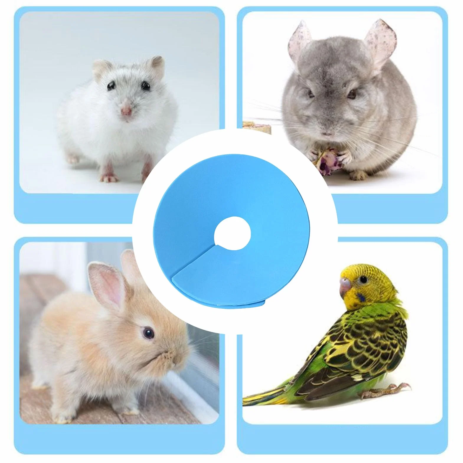Collier Collier pour Animaux de Compagnie, Anti-Léchage Doux pour Hamster Récupération, Protection Contre Les Griffures pour Lapin Perroquet Furet au Quotidien pour Petits Animaux