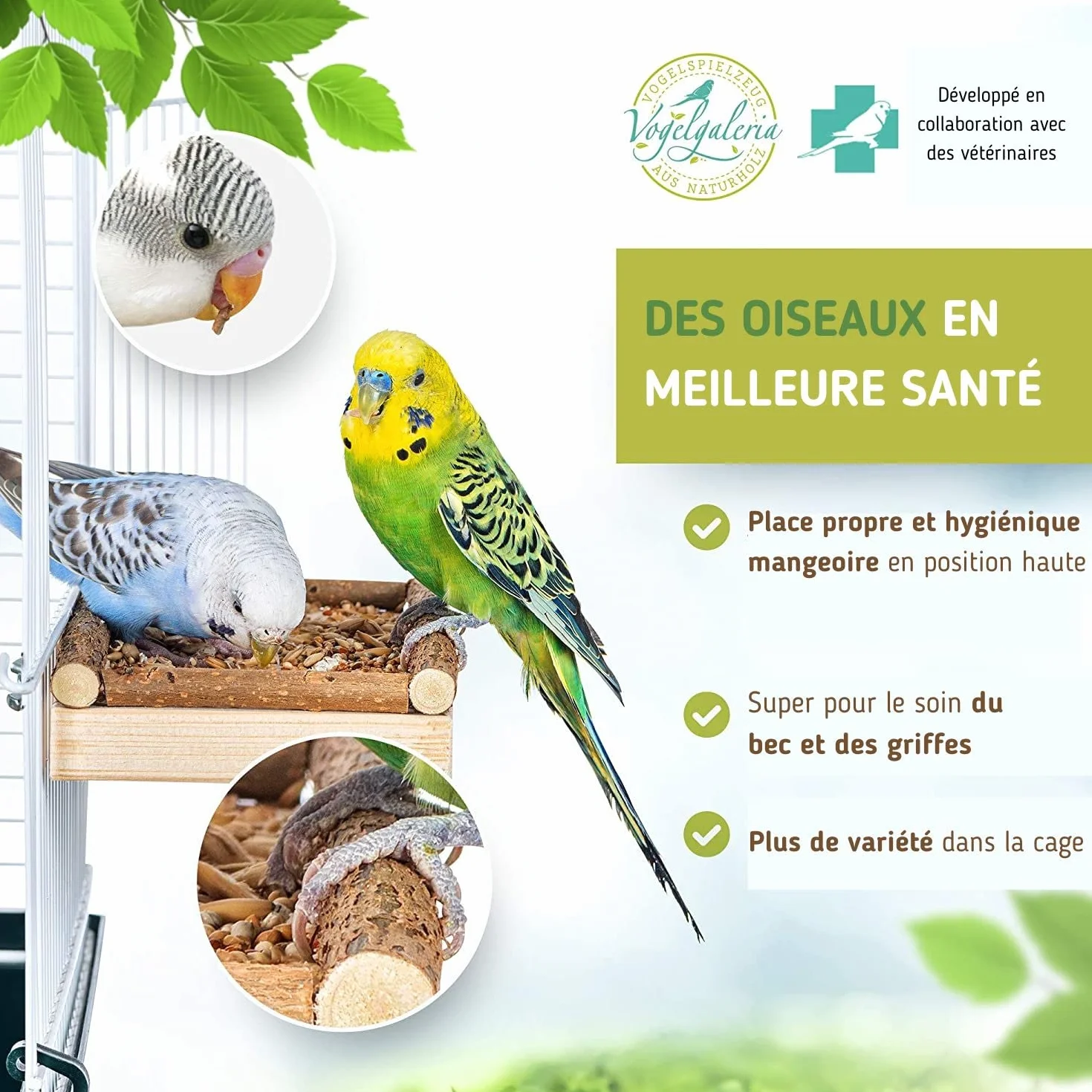 Perchoir Perroquet en Bois Naturel - Mangeoire 2 en 1 pour Cage à Oiseaux