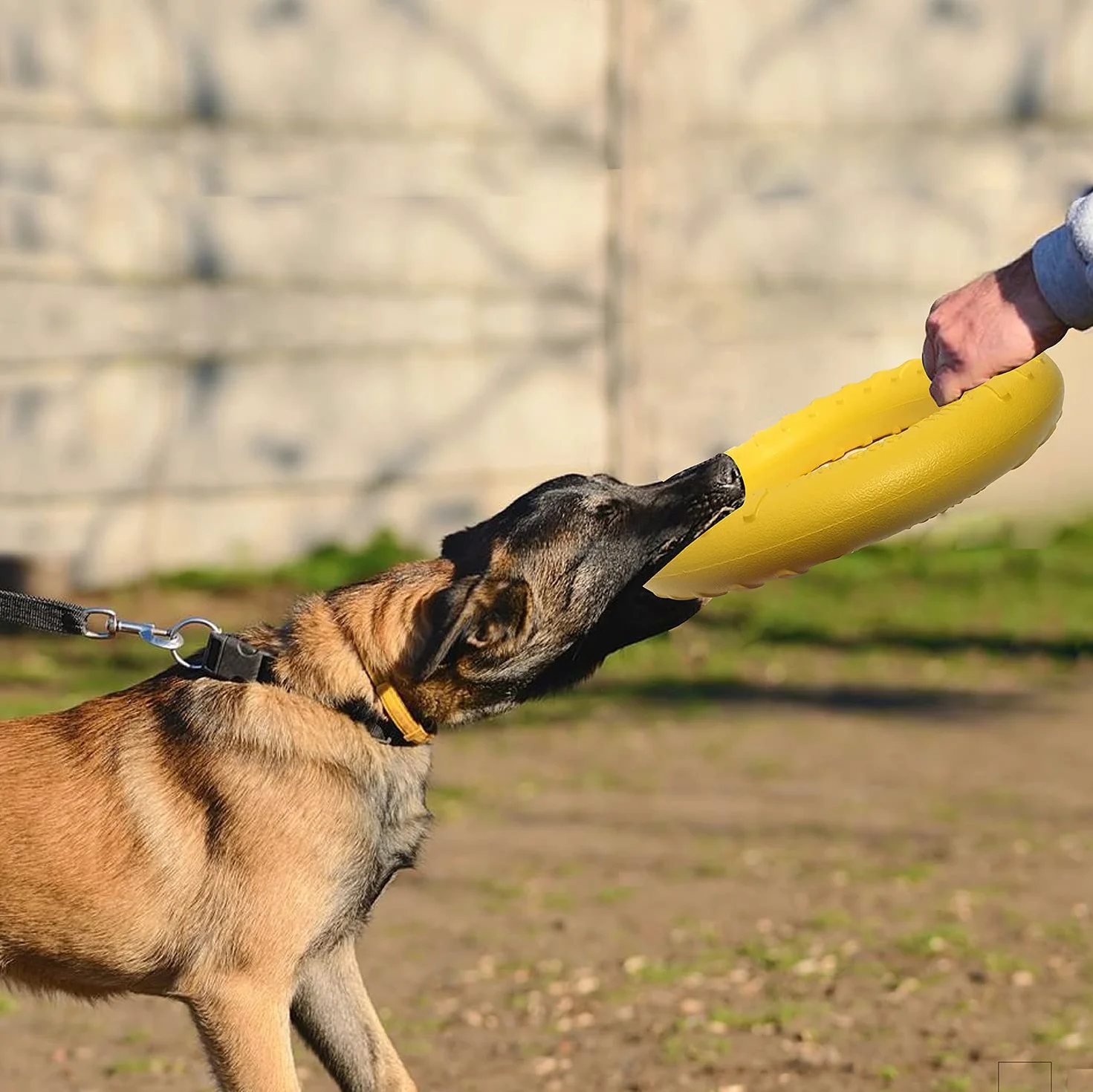 Anneau de Fitness Pour Chien, Anneau de Morsure de Chien, équipement d'exercice d'agilité pour chien, anneau d'entraînement interactif au tir à la corde pour petits et grands chiens (Jaune, Grande)
