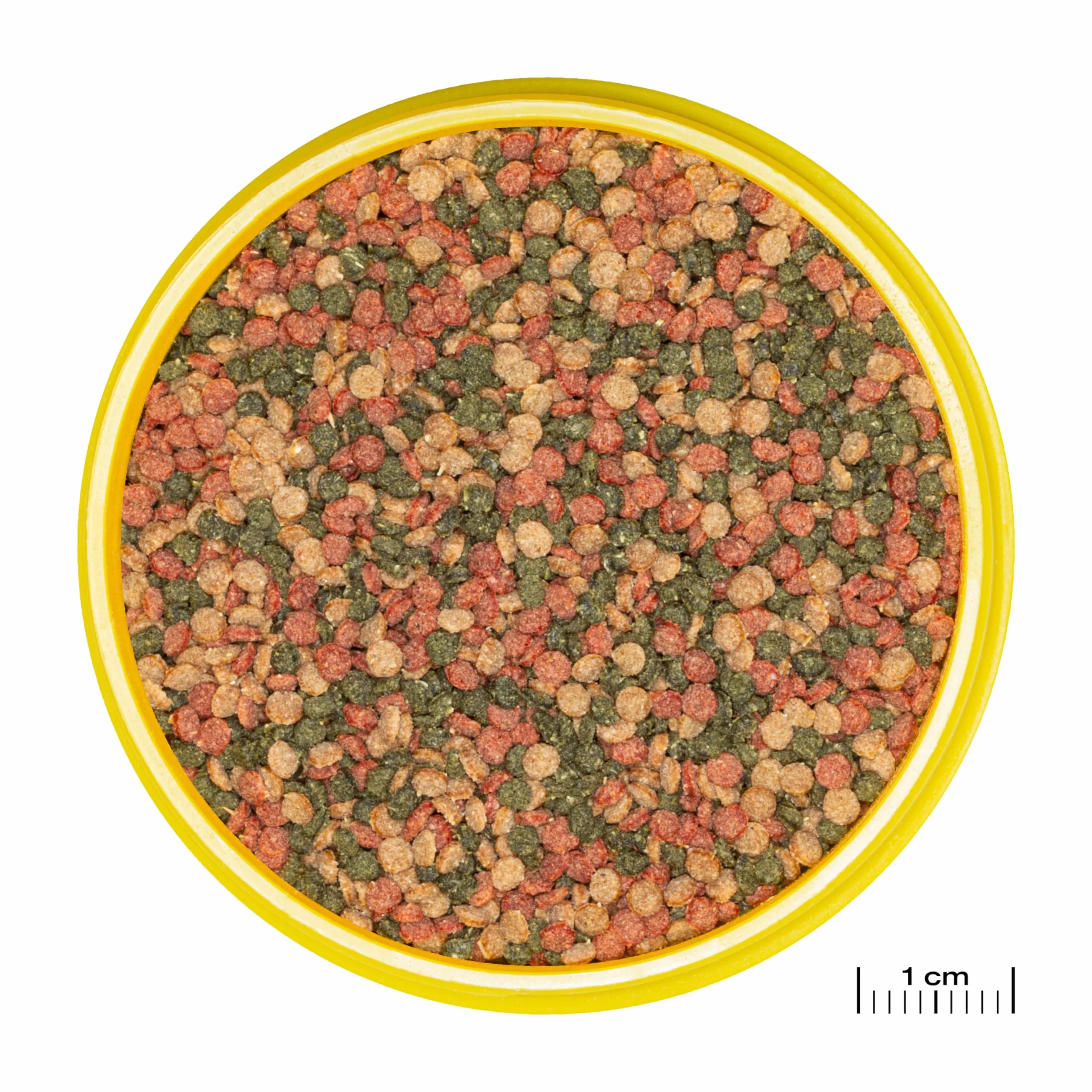 JBL PRONOVO BEL GRANO Aliment de Base Granulés pour Poissons d'Aquarium 8-20 cm Doseur à clic Taille M 250 ml