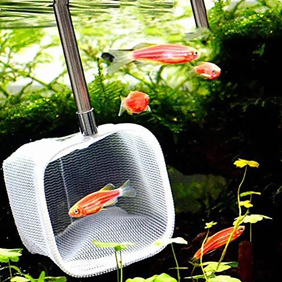 Petit filet télescopique pour poissons d'aquarium 18-53 cm Betta rouge