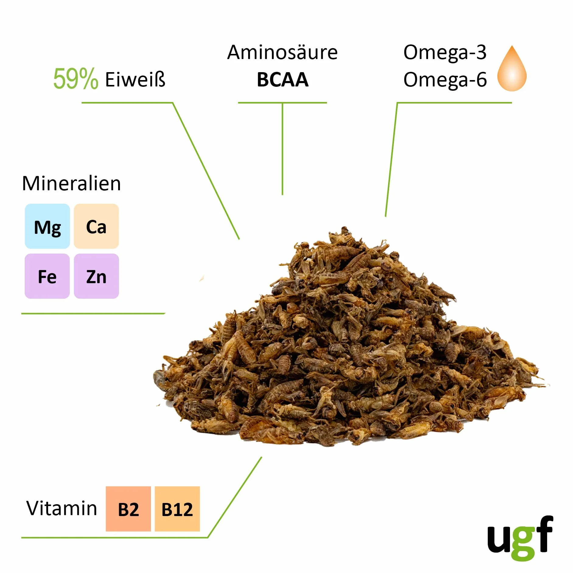 UGF - Grillons séchés (Petits) - 80 g en Pot de 500 ML, Insectes, Nourriture pour Oiseaux Sauvages (Toute l'année), Tortues, hérissons, lézards, Poissons