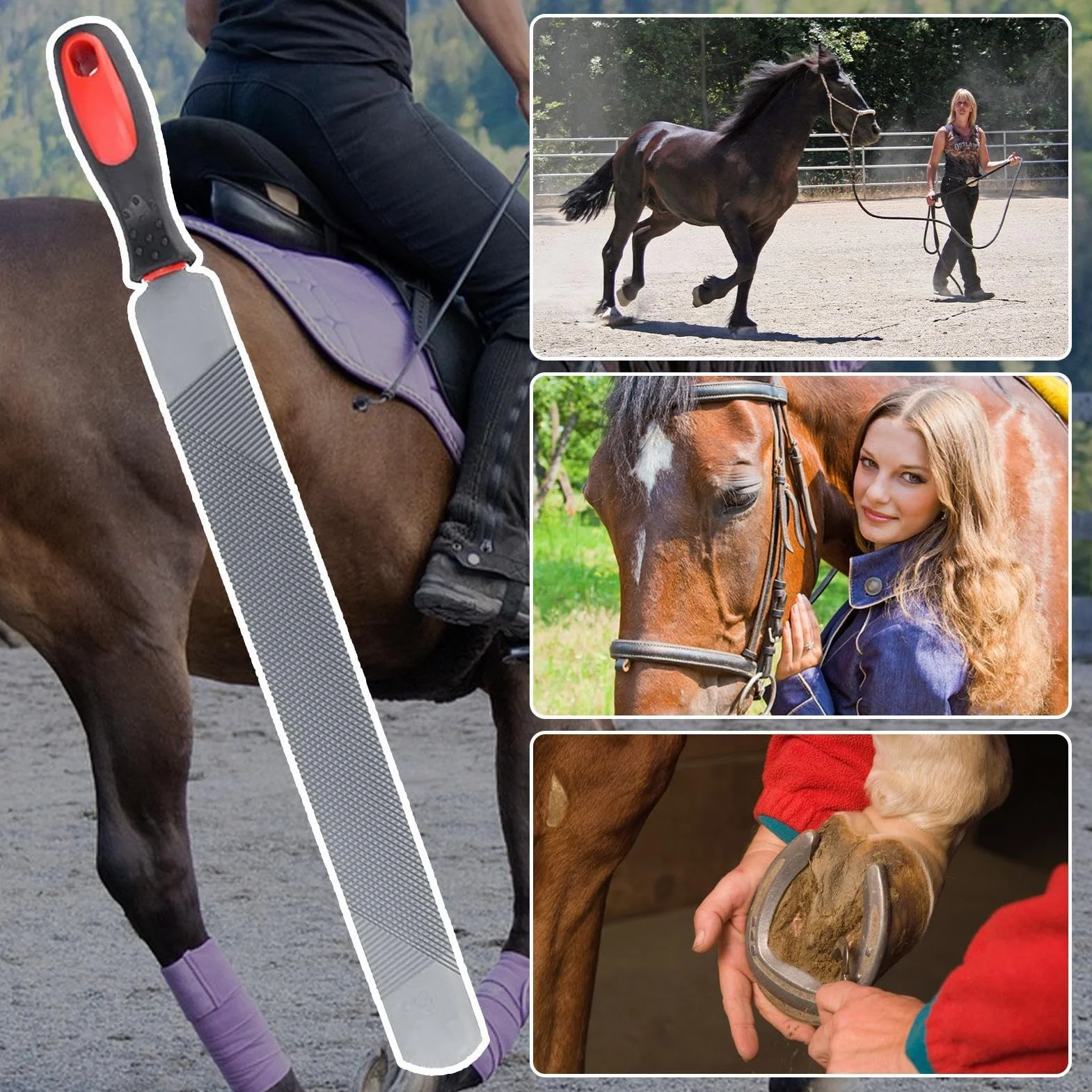 Râpe – Outil de Coupe de Sabots | Râpe Farrier – Farrier – Répartition des Sabots Double Face du Cheval – Outil de Coupe Ergonomique – pour chèvre, Vache, âne, Cochon, Sabots d'animaux, Animal